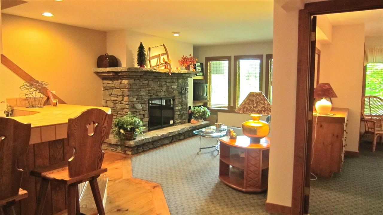 1226 East Ash Road, Unit L32 Plymouth, VT 05056 - Photo 21 of 29 Gallery Image 21