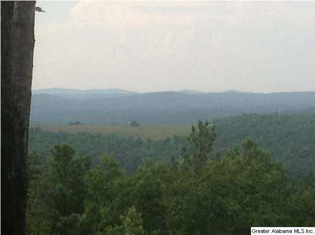 1900 Pepper Road, Unit 55 AC Ashland, AL 36251 - Photo 17 of 20