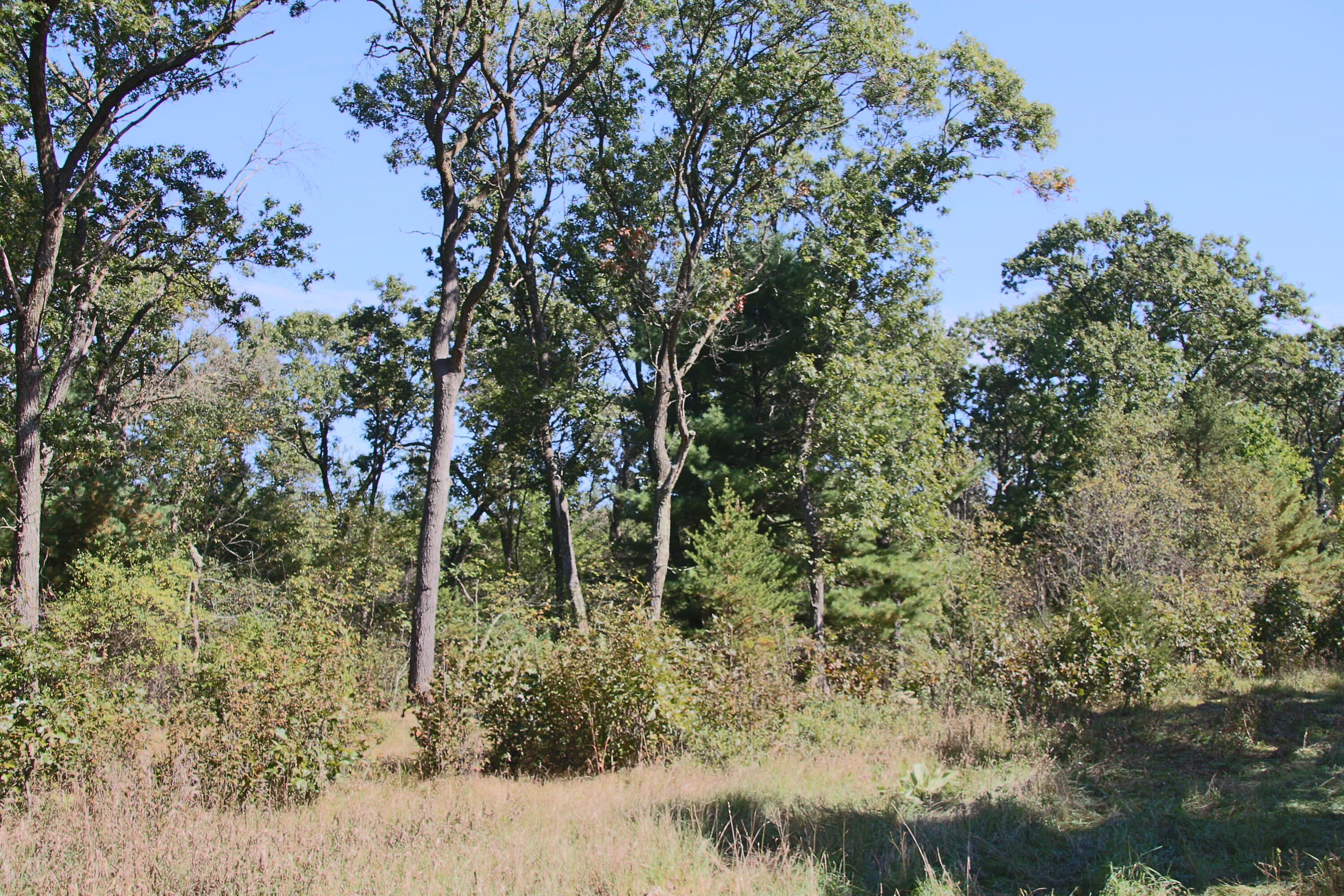 Lot 4