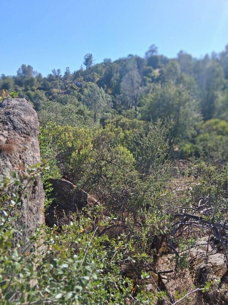 4863 Gavilan Road Mariposa, CA 95338 - Photo 9 of 19
