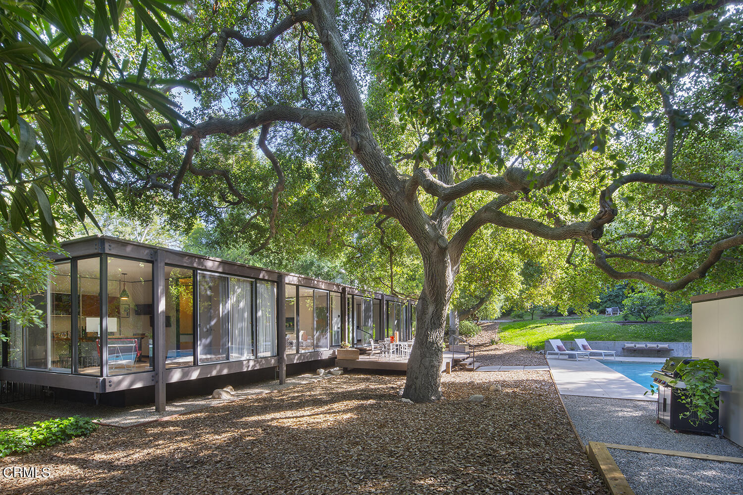 215 La Vereda Road Pasadena, CA 91105 - Photo 18 of 21 a view of a house with backyard and a tree