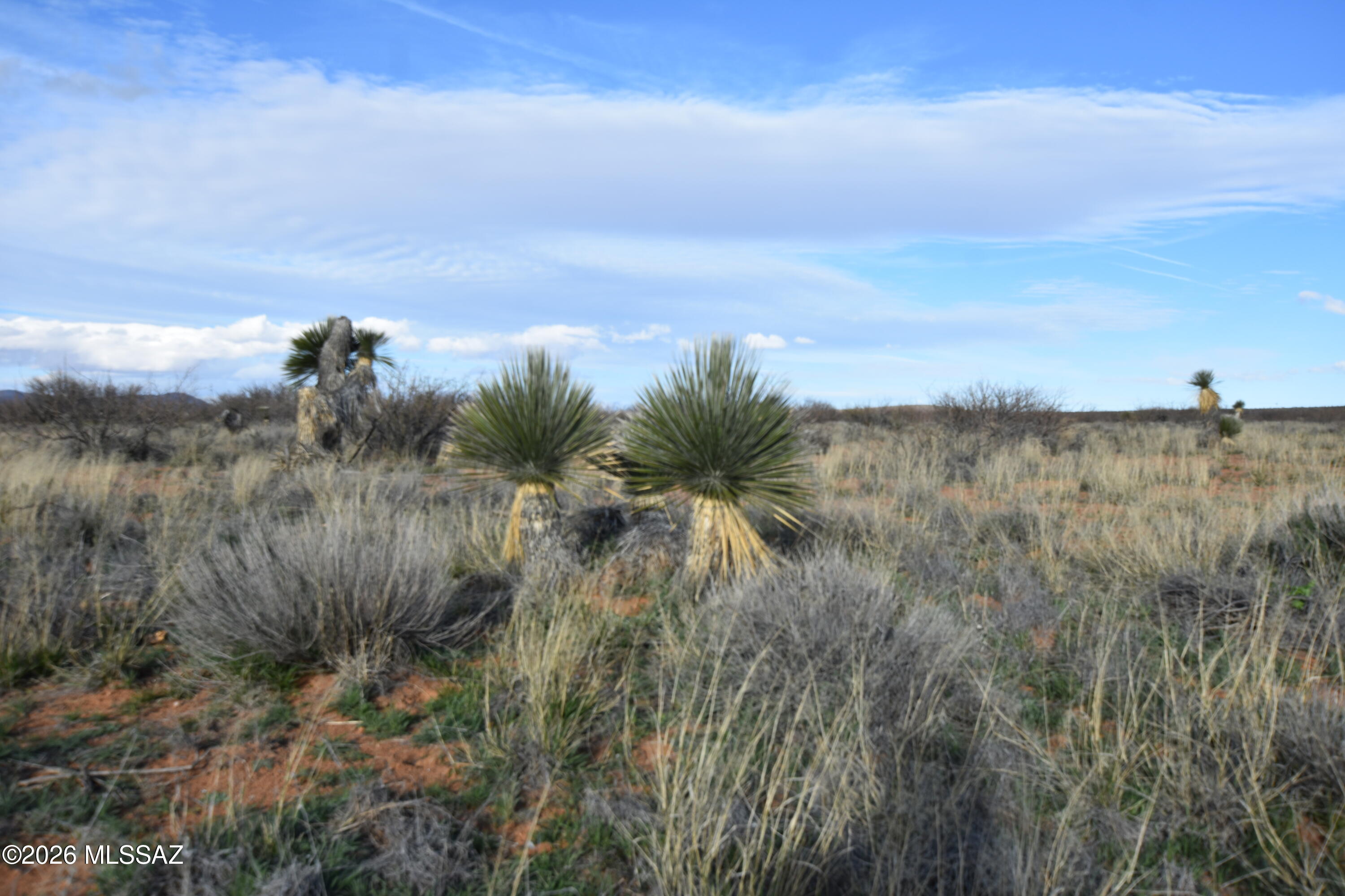 East Howling Wolf Road Willcox, AZ 85643 - Photo 10 of 49
