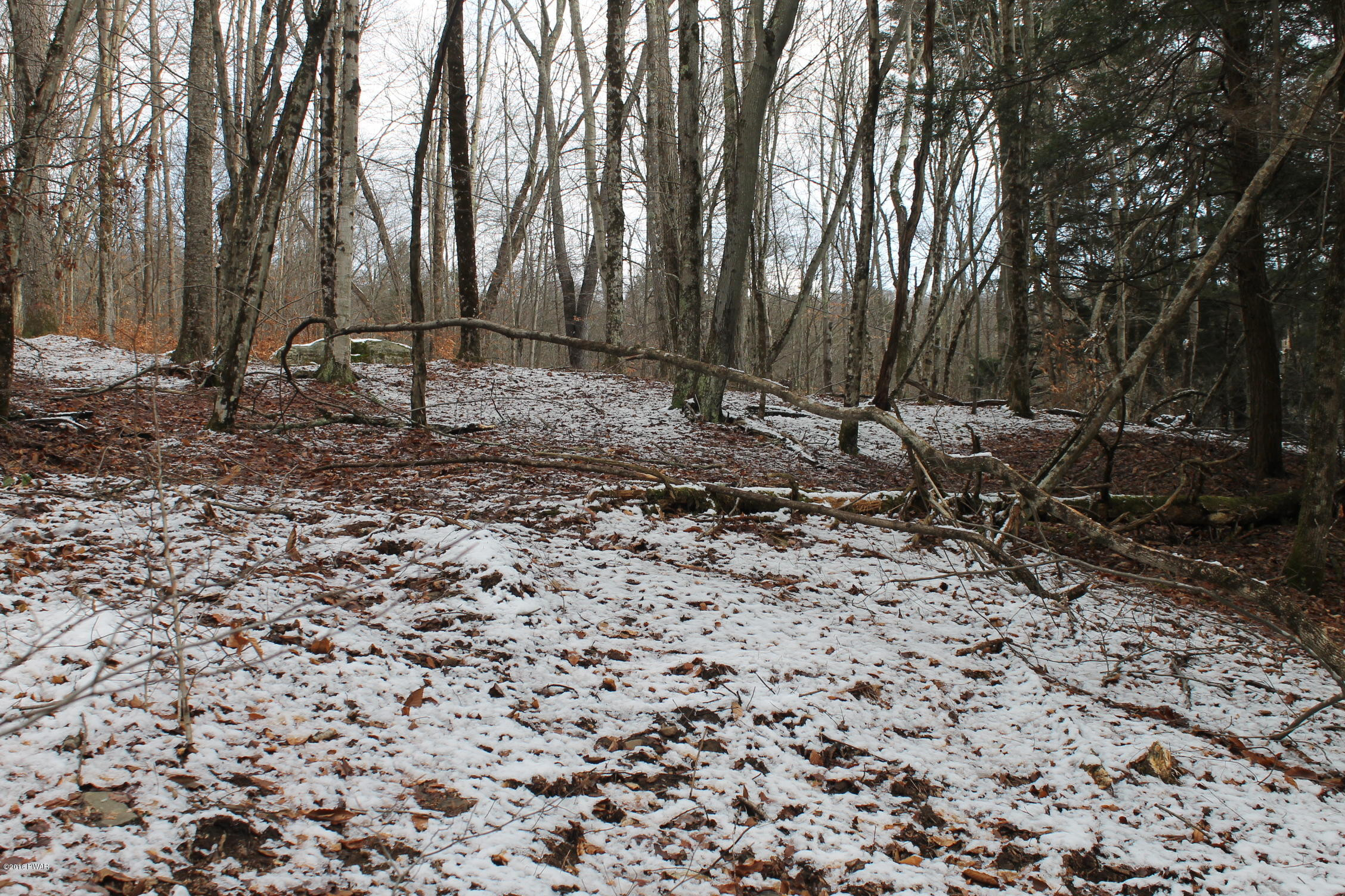 Rd Road East Branch, NY 13756 - Photo 2 of 9