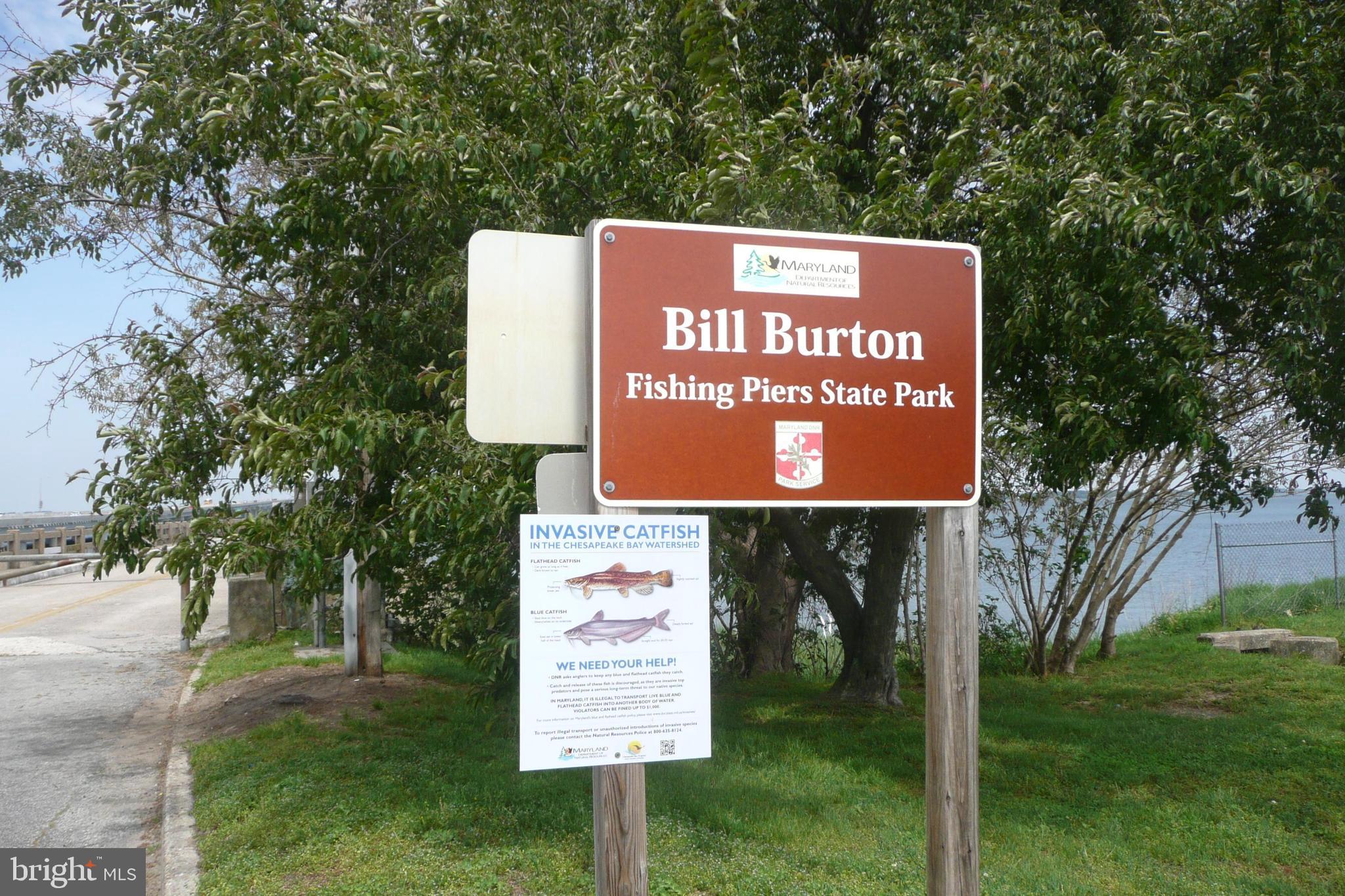 206 Killarney Road Cambridge, MD 21613 - Photo 4 of 14 Bill Burton Fishing Pier