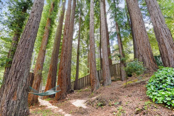 $1,799,950 | 252 Blakewood Way, Redwood City, CA 94062