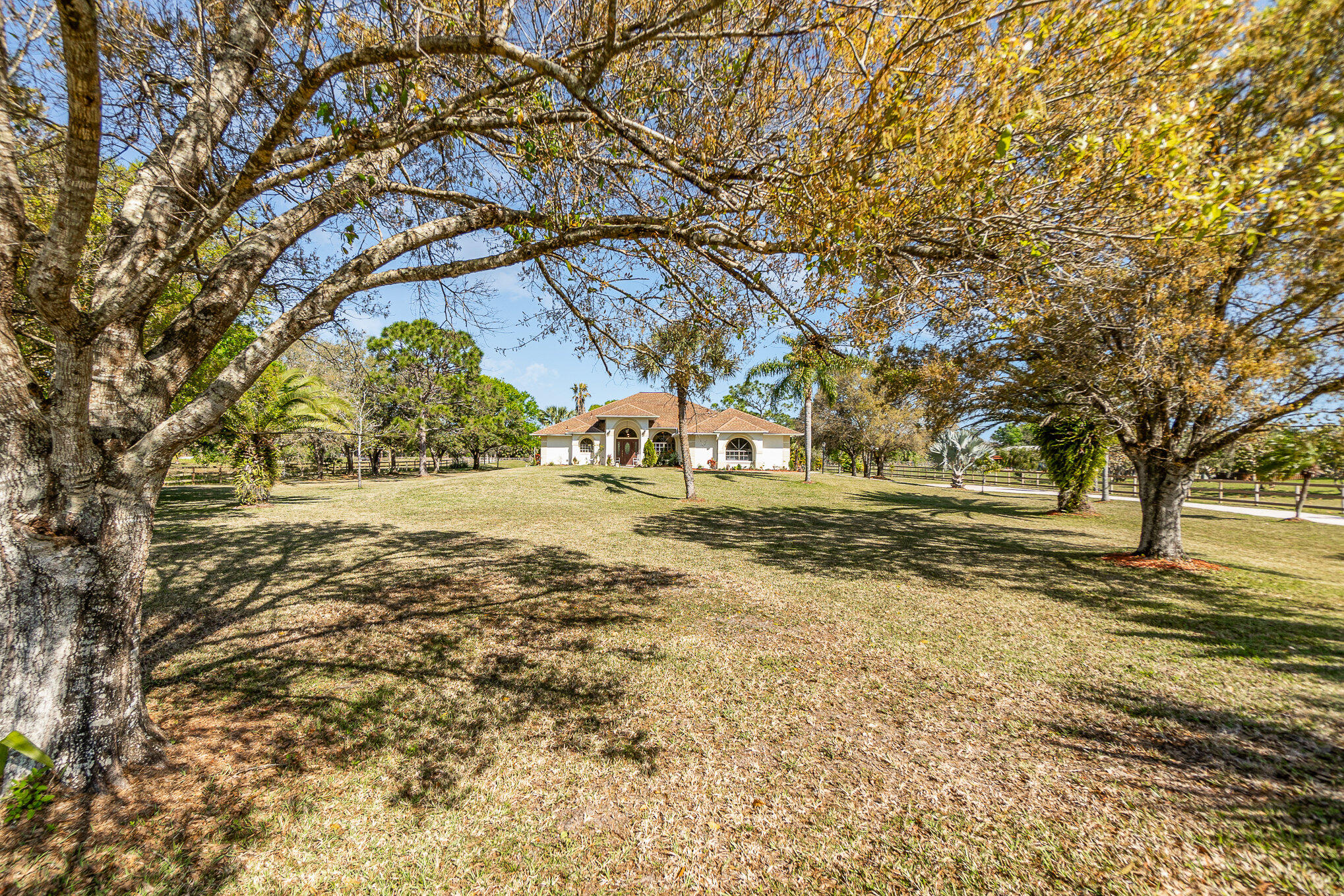 234 Deer Run Road Palm Bay, FL 32909 - Photo 4 of 50 a view of yard with tree