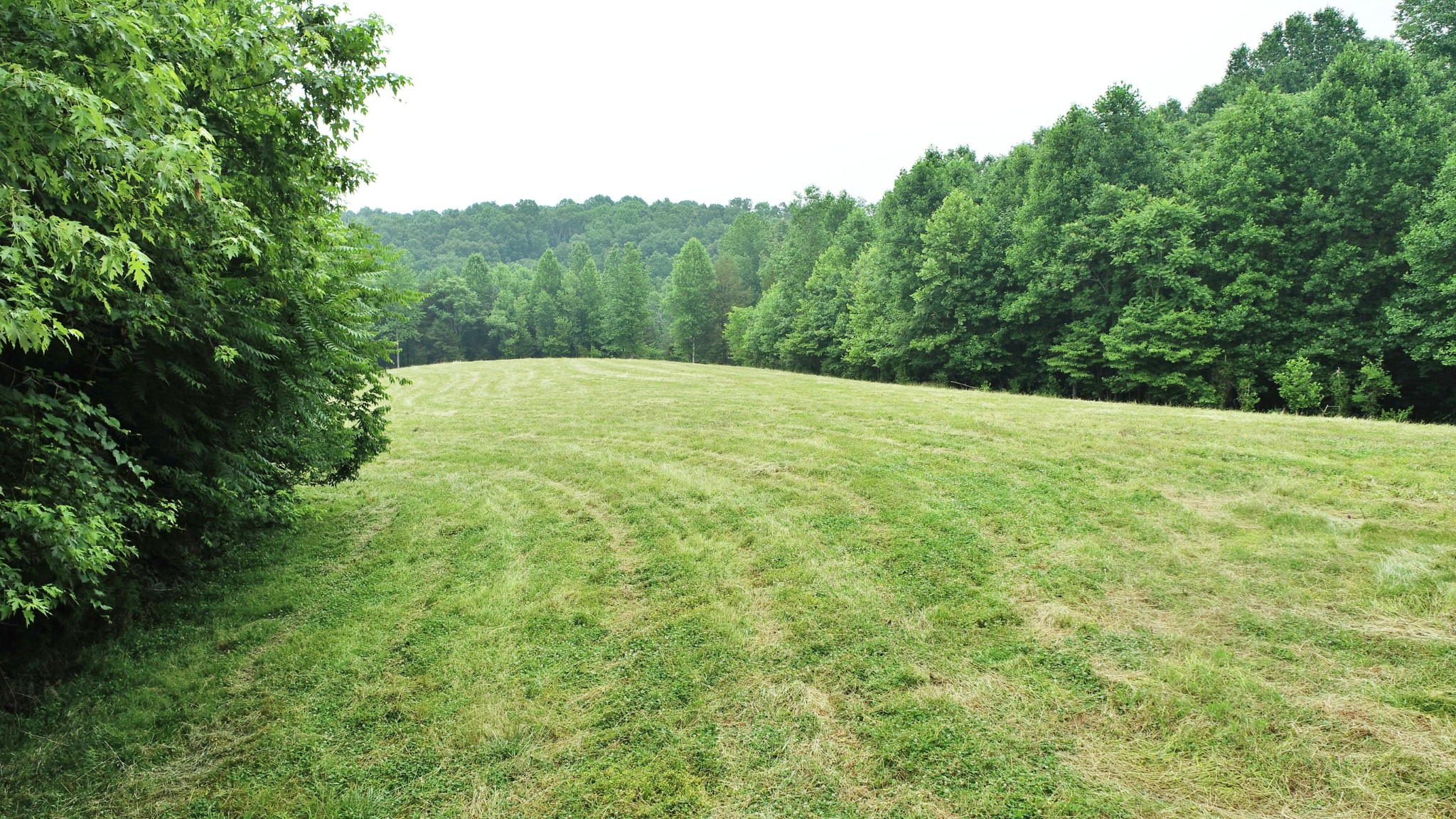 8 Purtle Road Lafayette, TN 37083 - Photo 1 of 20 Gallery Image 1