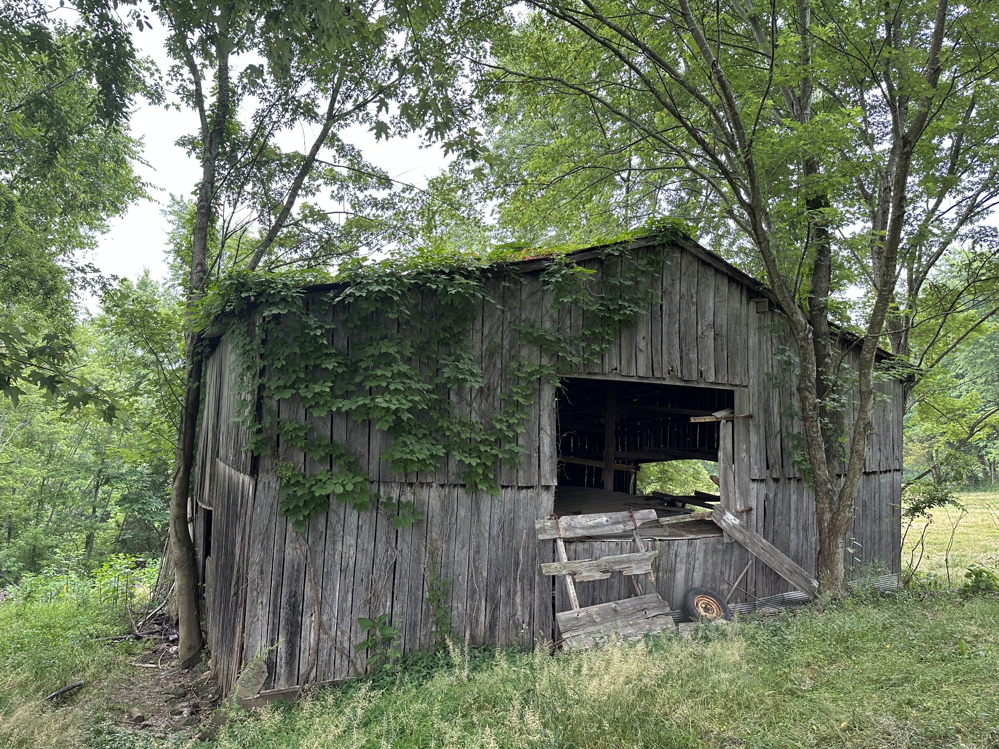 8 Purtle Road Lafayette, TN 37083 - Photo 14 of 20 Gallery Image 14