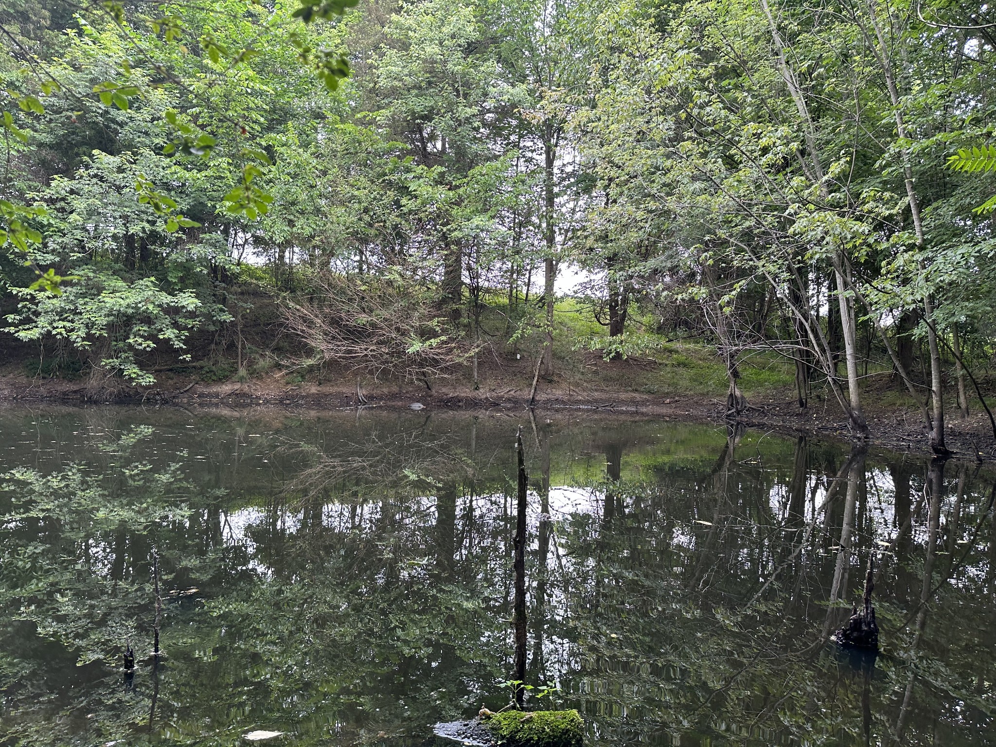 8 Purtle Road Lafayette, TN 37083 - Photo 15 of 20 Gallery Image 15