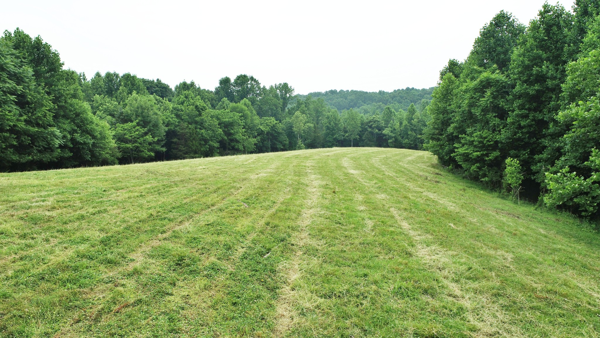 8 Purtle Road Lafayette, TN 37083 - Photo 2 of 20 Gallery Image 2