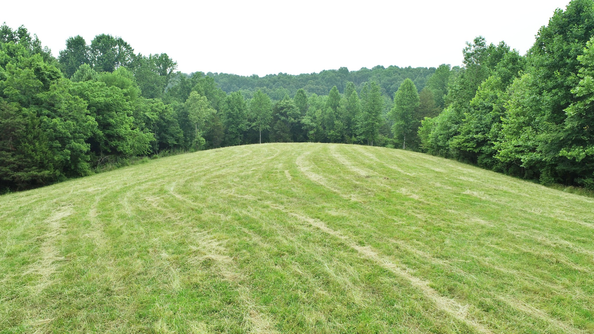 8 Purtle Road Lafayette, TN 37083 - Photo 3 of 20 Gallery Image 3