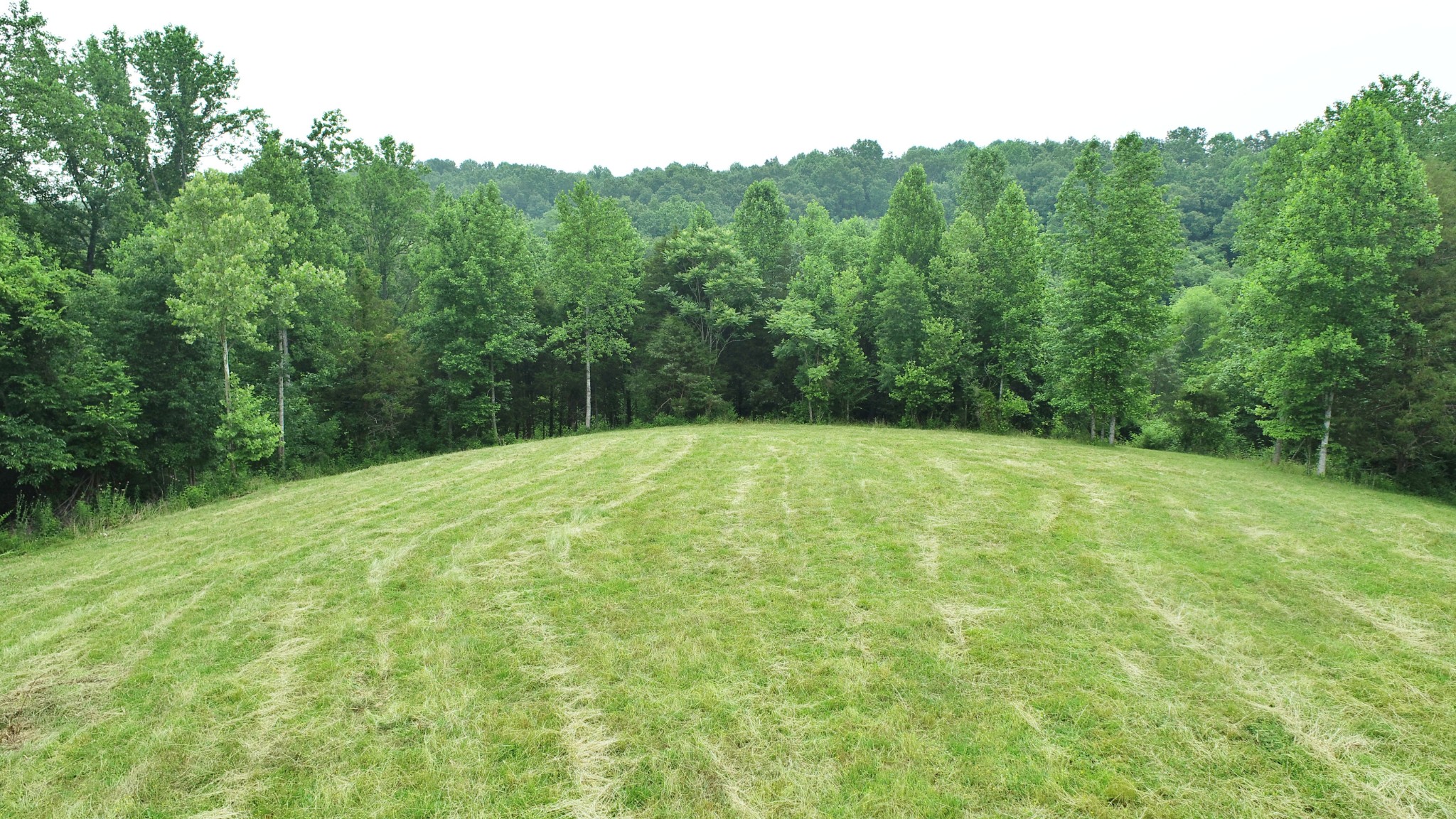 8 Purtle Road Lafayette, TN 37083 - Photo 4 of 20 Gallery Image 4