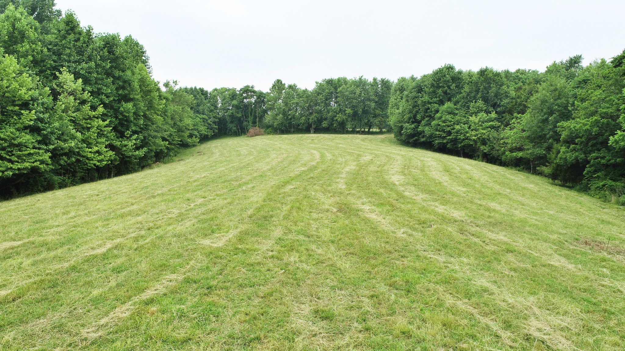 8 Purtle Road Lafayette, TN 37083 - Photo 5 of 20 Gallery Image 5