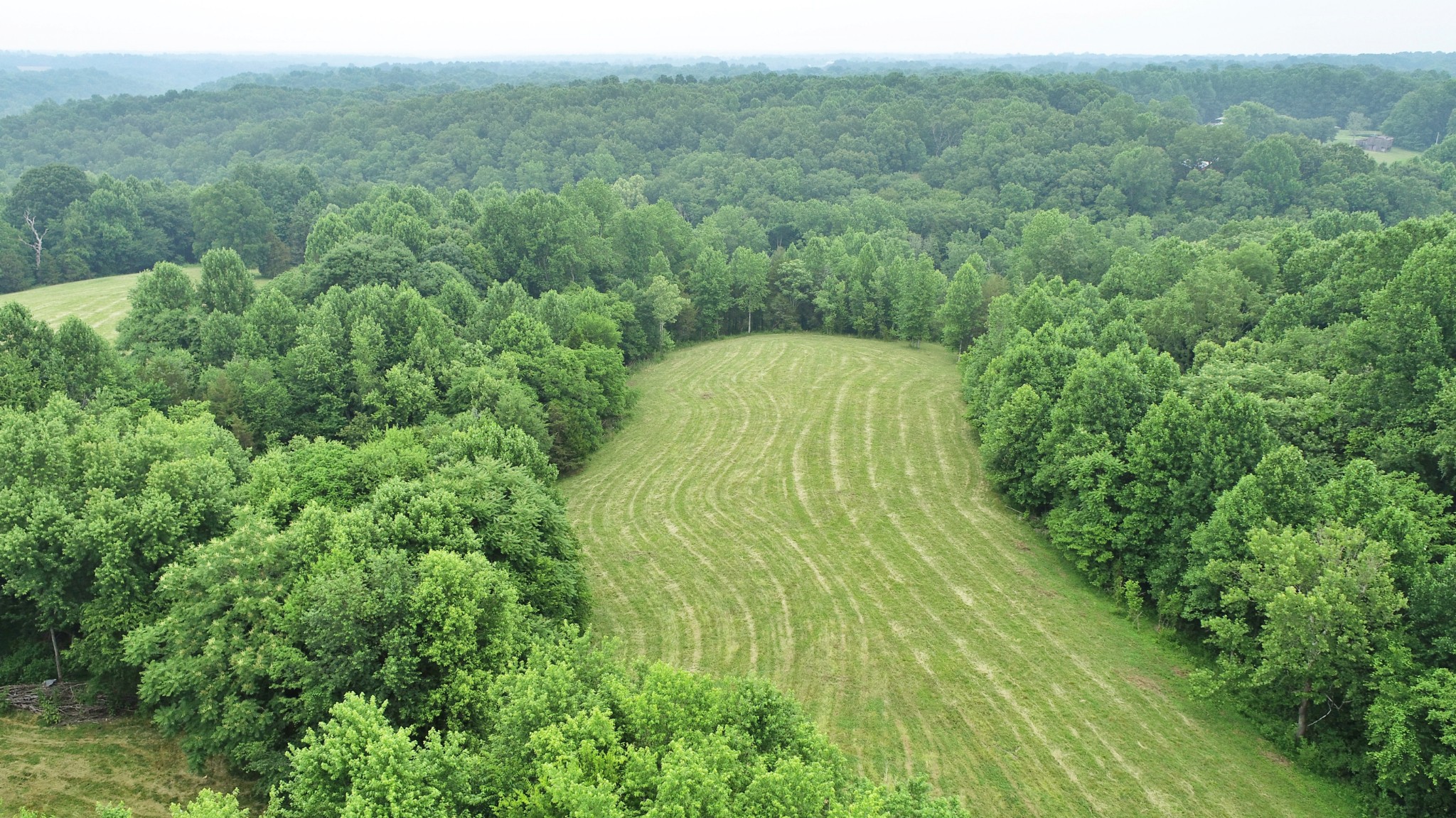 8 Purtle Road Lafayette, TN 37083 - Photo 7 of 20 Gallery Image 7