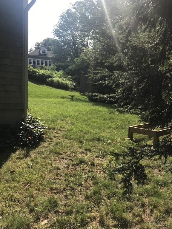 35 Sycamore Road Wayland, MA 01778 - Photo 38 of 42 a view of a garden with an outdoor space