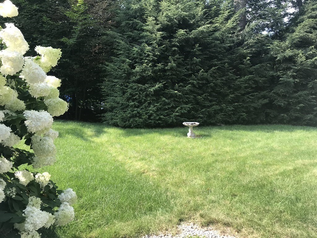 35 Sycamore Road Wayland, MA 01778 - Photo 5 of 42 a backyard of a house with lots of green space