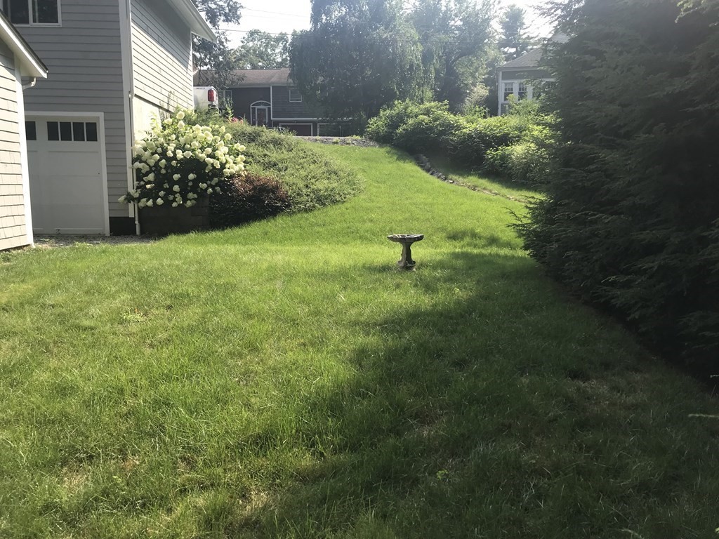 35 Sycamore Road Wayland, MA 01778 - Photo 7 of 42 a view of a garden