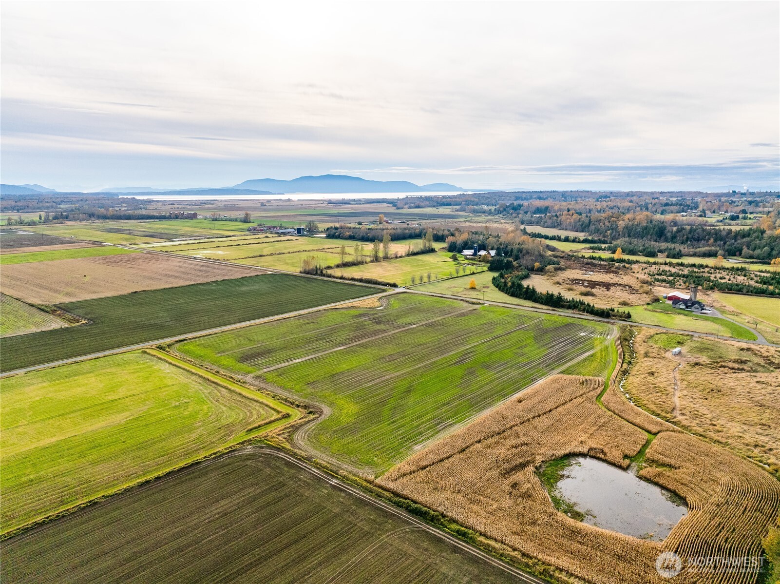 a view of a swimming pool and an ocean view