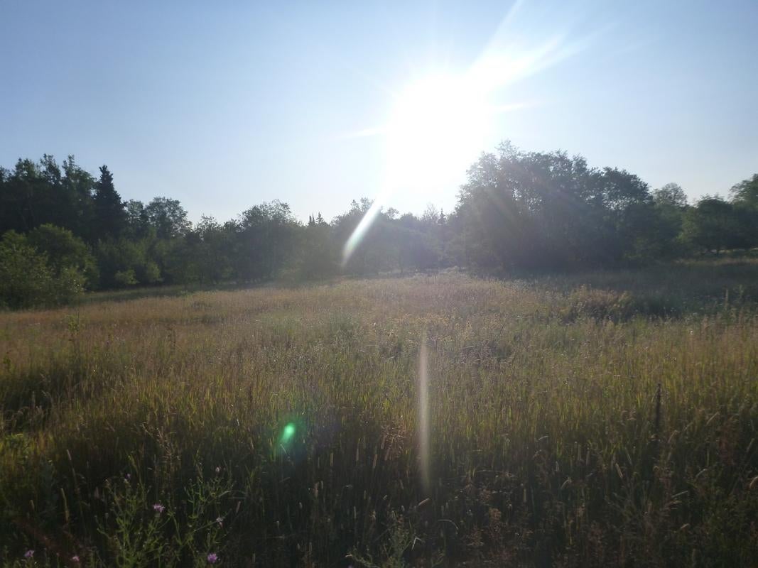 Oooo Oooo Ford Lake Road Germfask, MI 49836 - Photo 6 of 10 Gallery Image 6