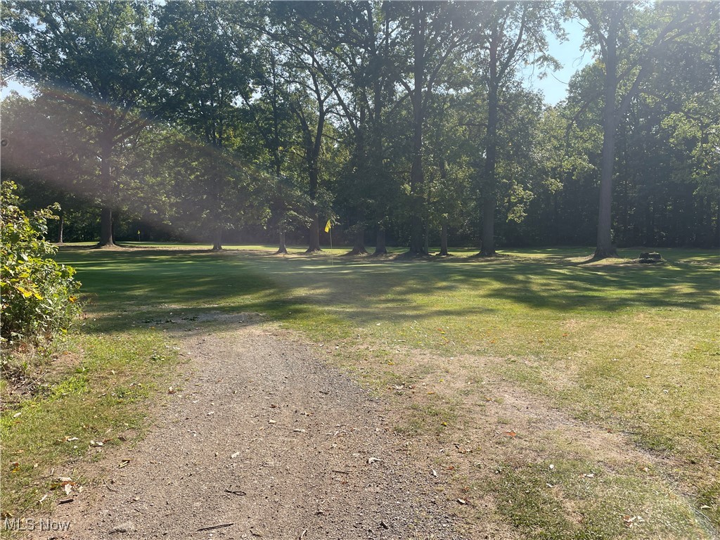 9889 New Road North Jackson, OH 44451 - Photo 25 of 30 View of street