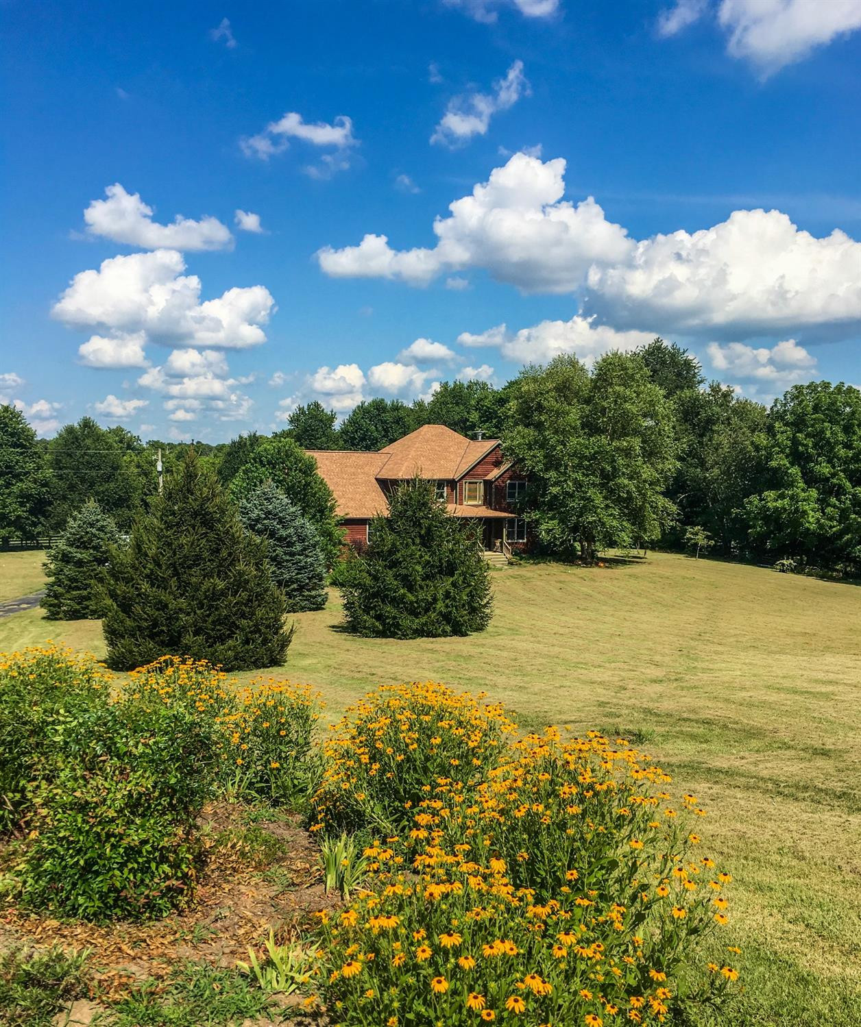 964 Galloway Road Stamping Ground, KY 40379 - Photo 43 of 53 Photo 43