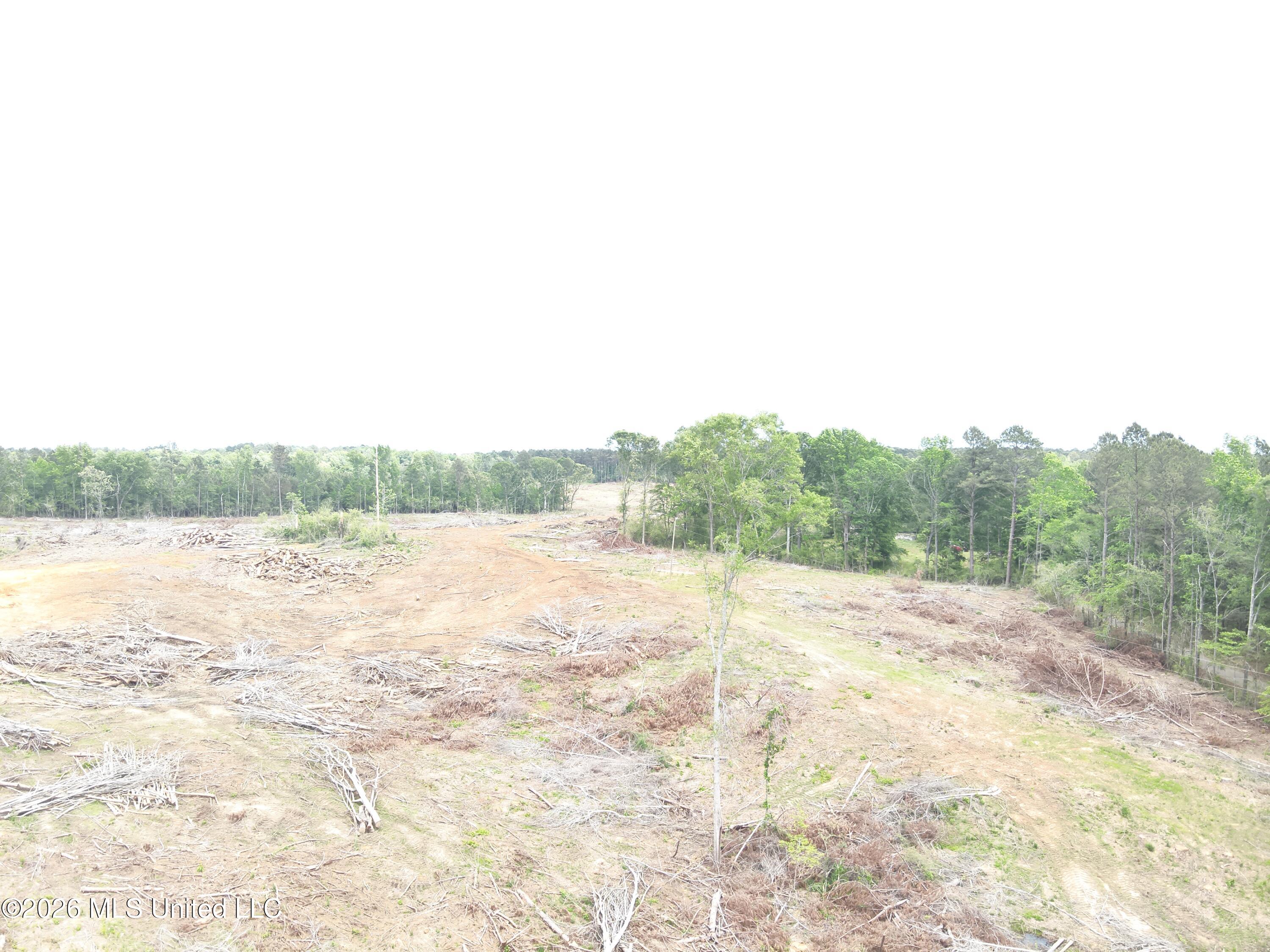 559 Smith County Road Pulaski, MS 39152 - Photo 11 of 35 DJI_20260427132102_0029_V