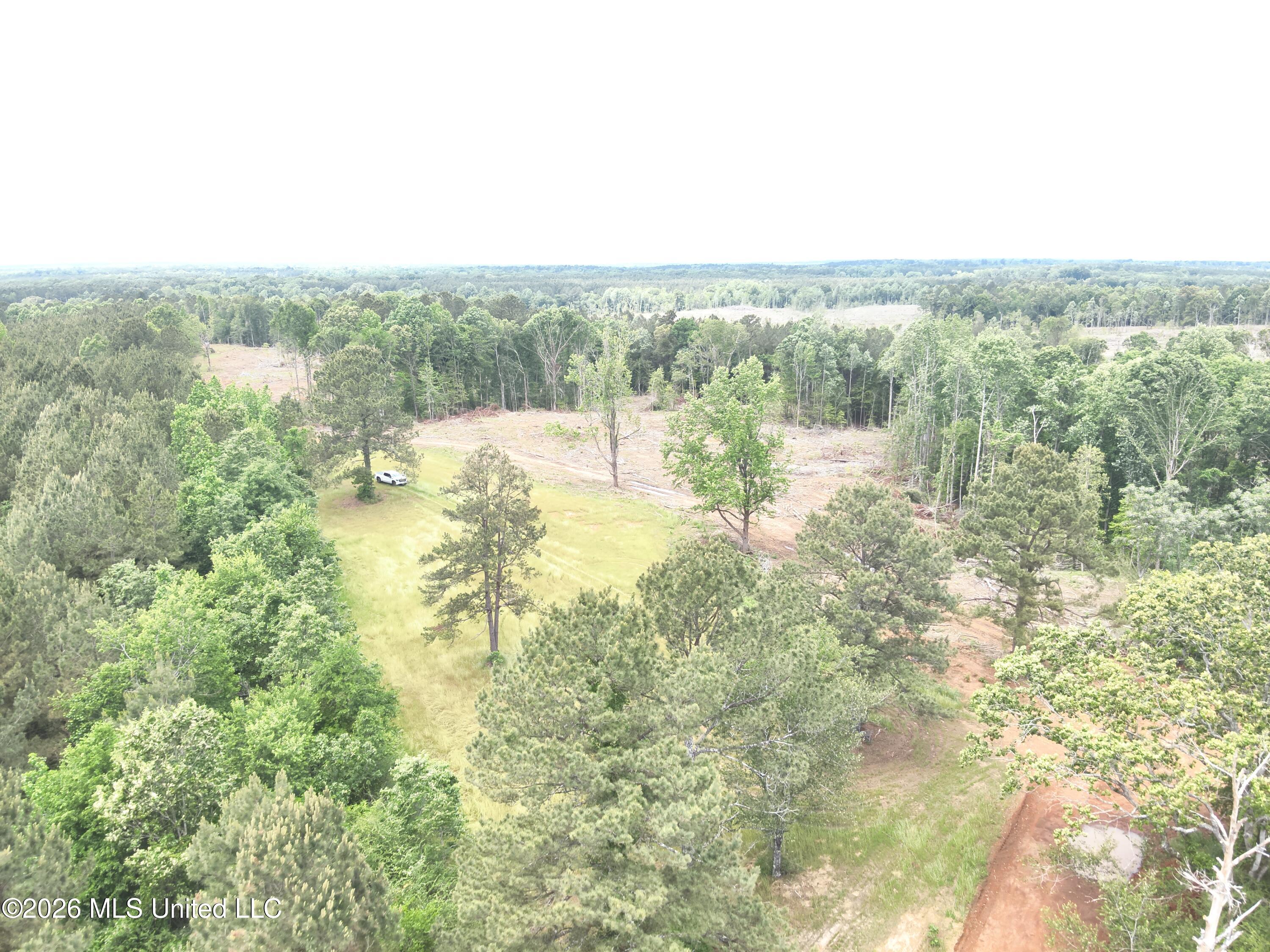 559 Smith County Road Pulaski, MS 39152 - Photo 13 of 35 DJI_20260427132117_0031_V