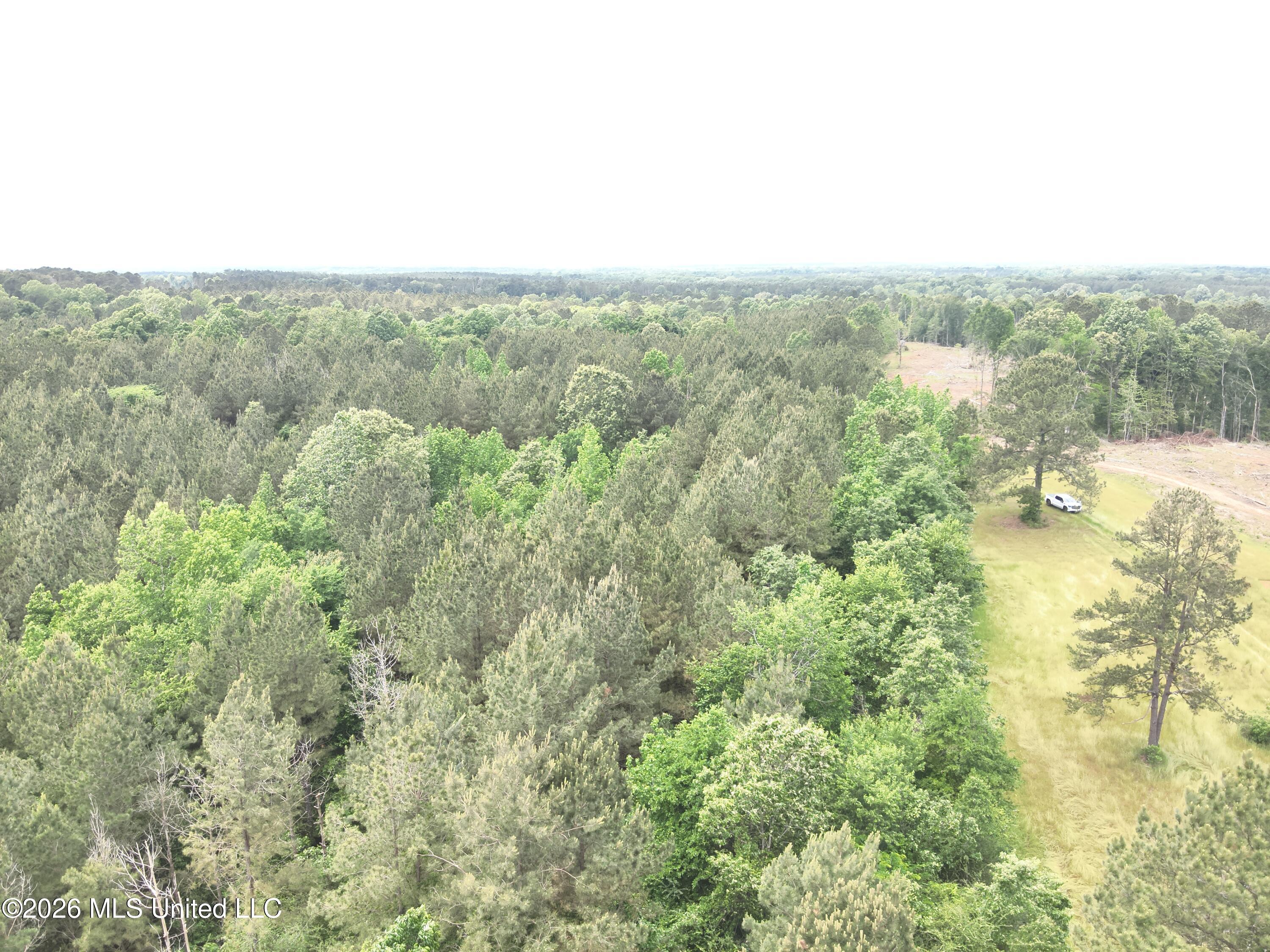559 Smith County Road Pulaski, MS 39152 - Photo 14 of 35 DJI_20260427132119_0032_V
