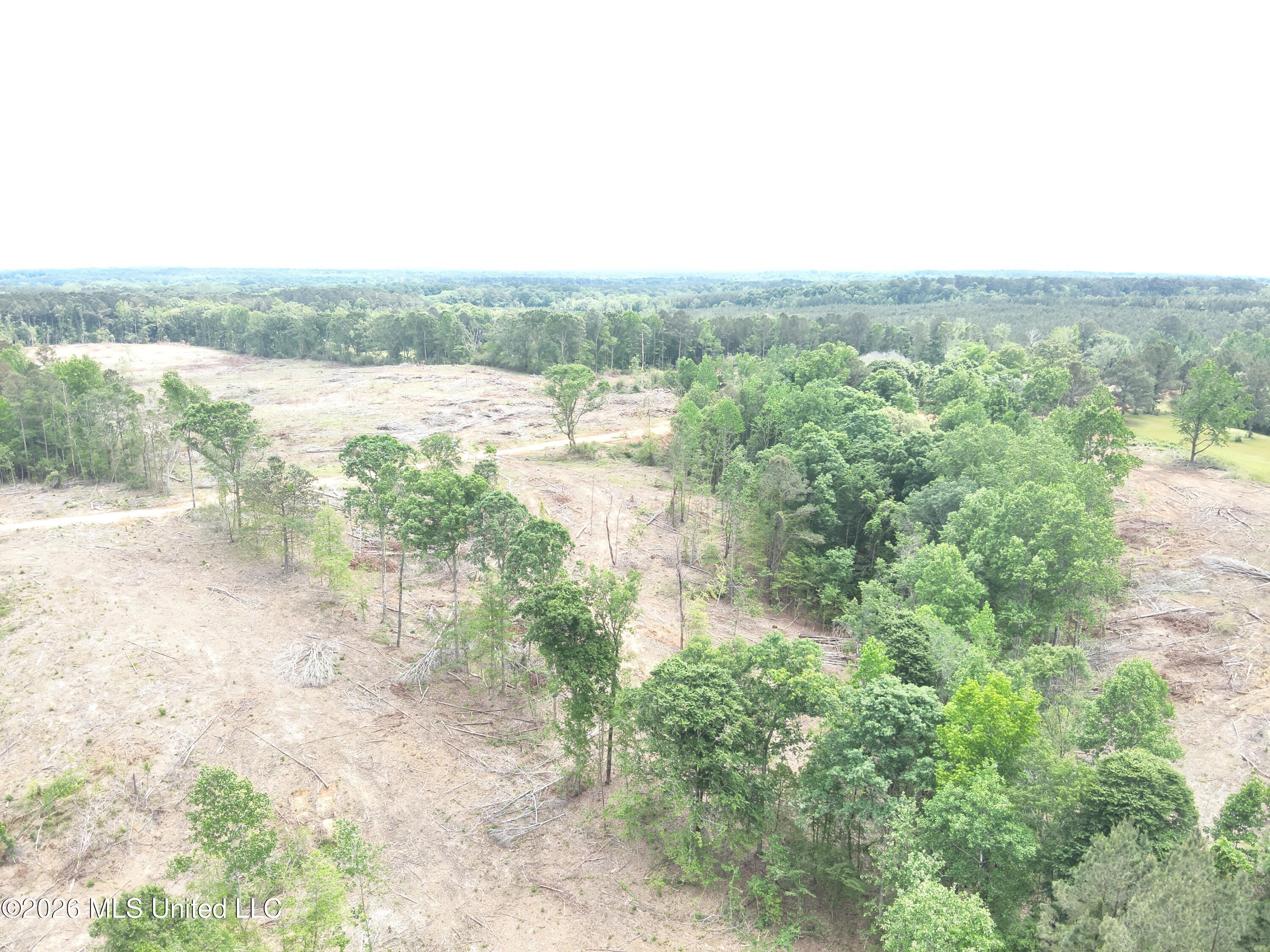 559 Smith County Road Pulaski, MS 39152 - Photo 15 of 35 DJI_20260427132154_0034_V