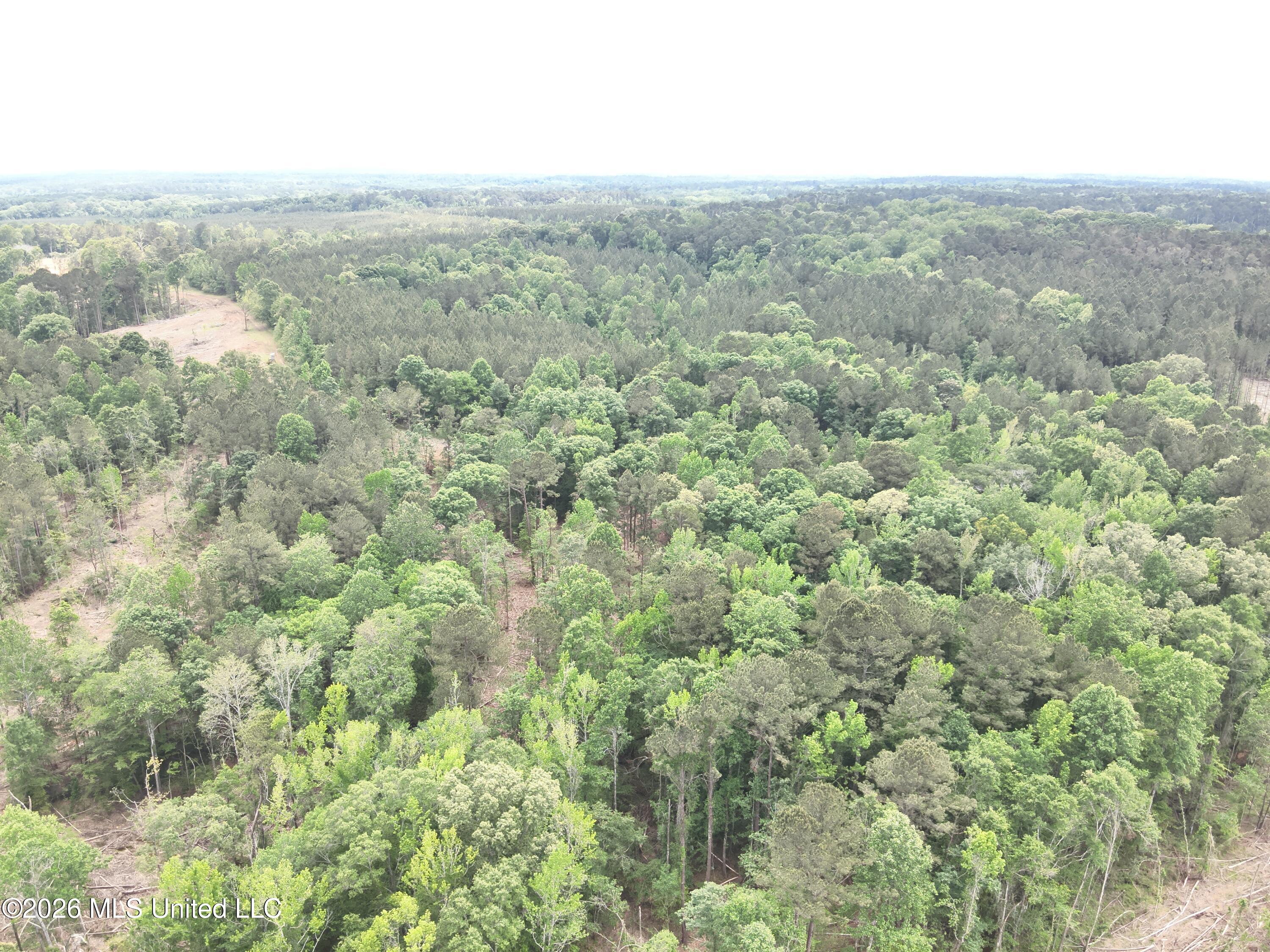 559 Smith County Road Pulaski, MS 39152 - Photo 16 of 35 DJI_20260427132322_0038_V
