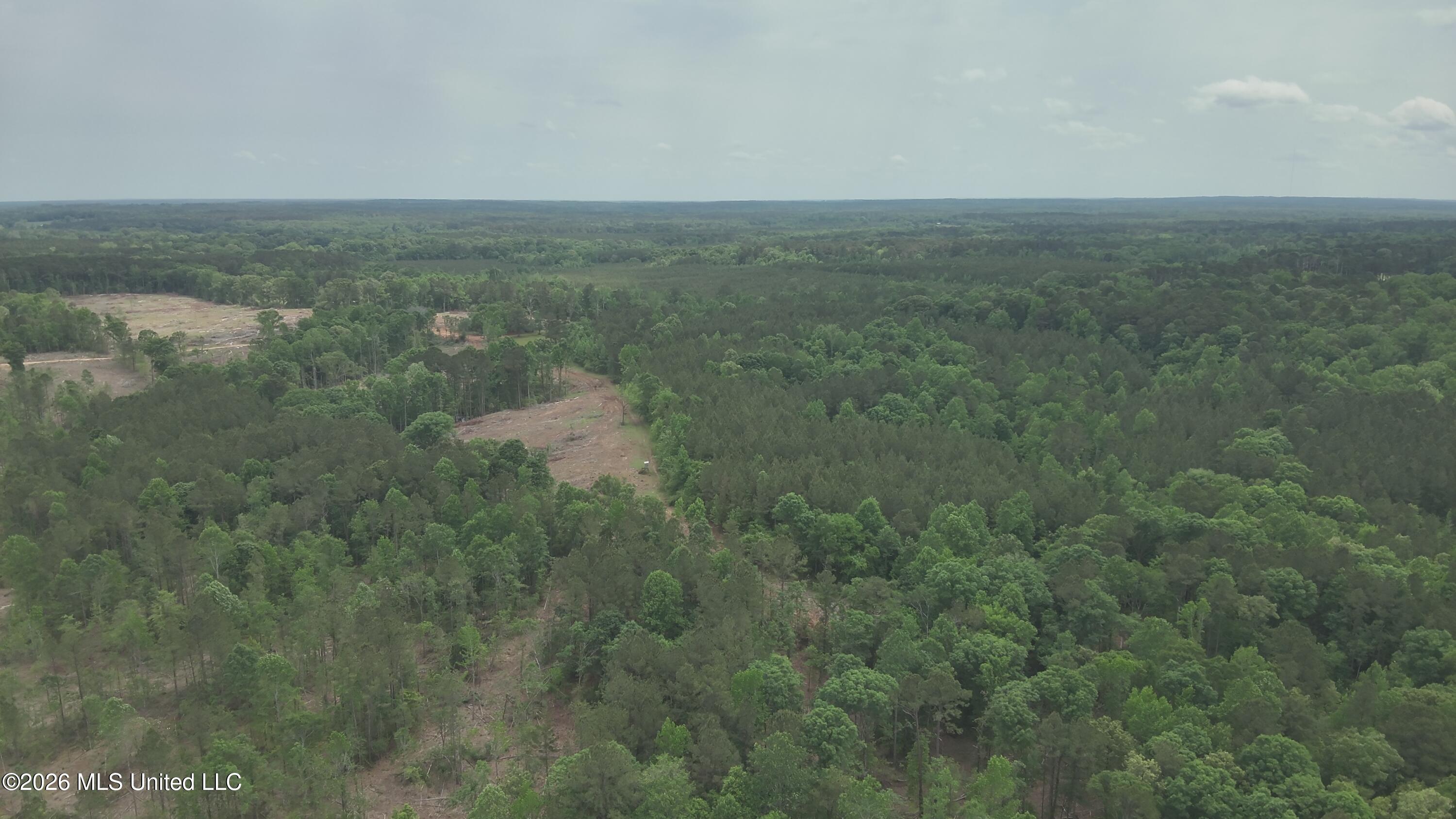 559 Smith County Road Pulaski, MS 39152 - Photo 17 of 35 DJI_20260427132343_0042_V