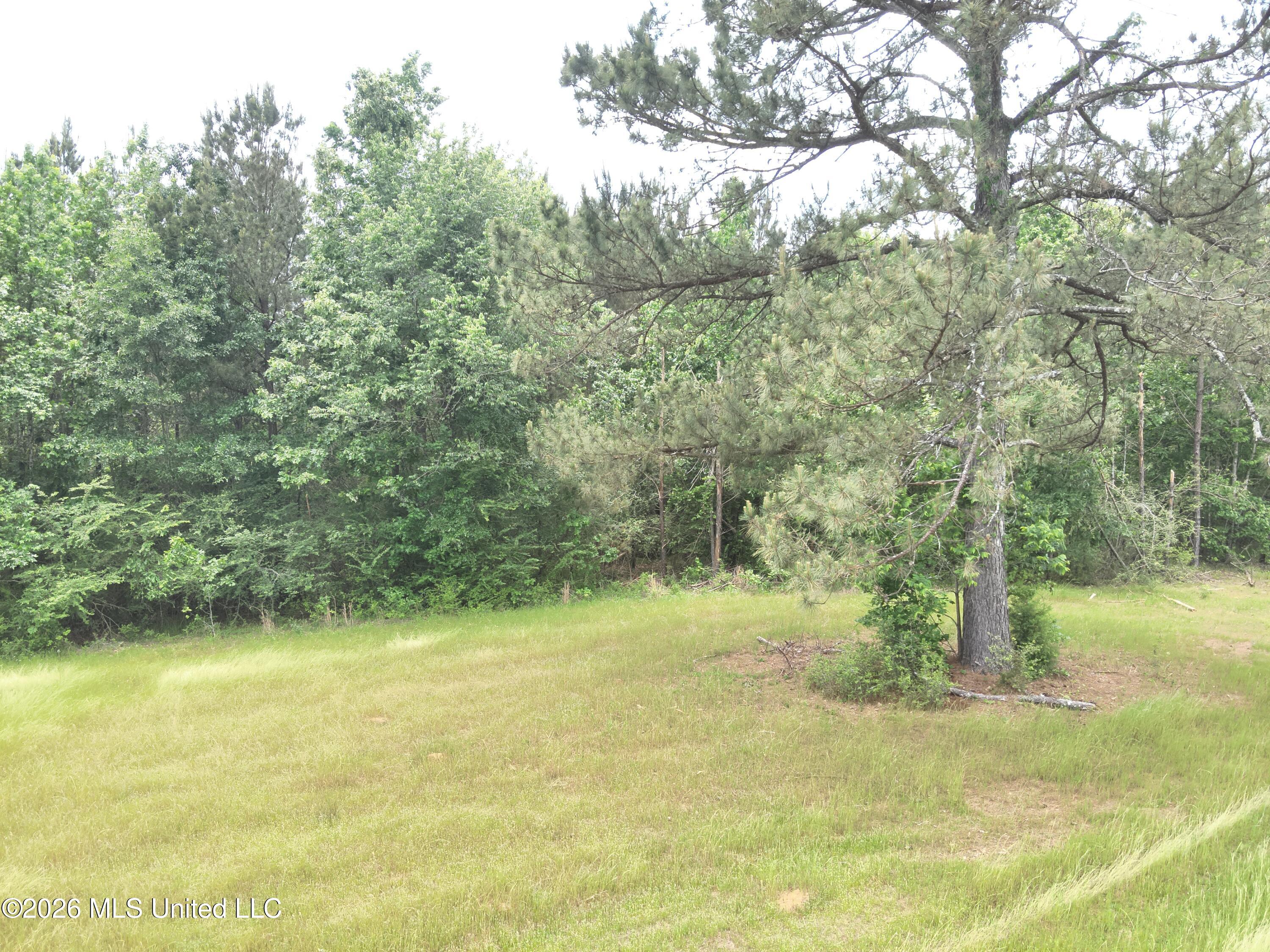 559 Smith County Road Pulaski, MS 39152 - Photo 22 of 35 DJI_20260427132514_0050_V
