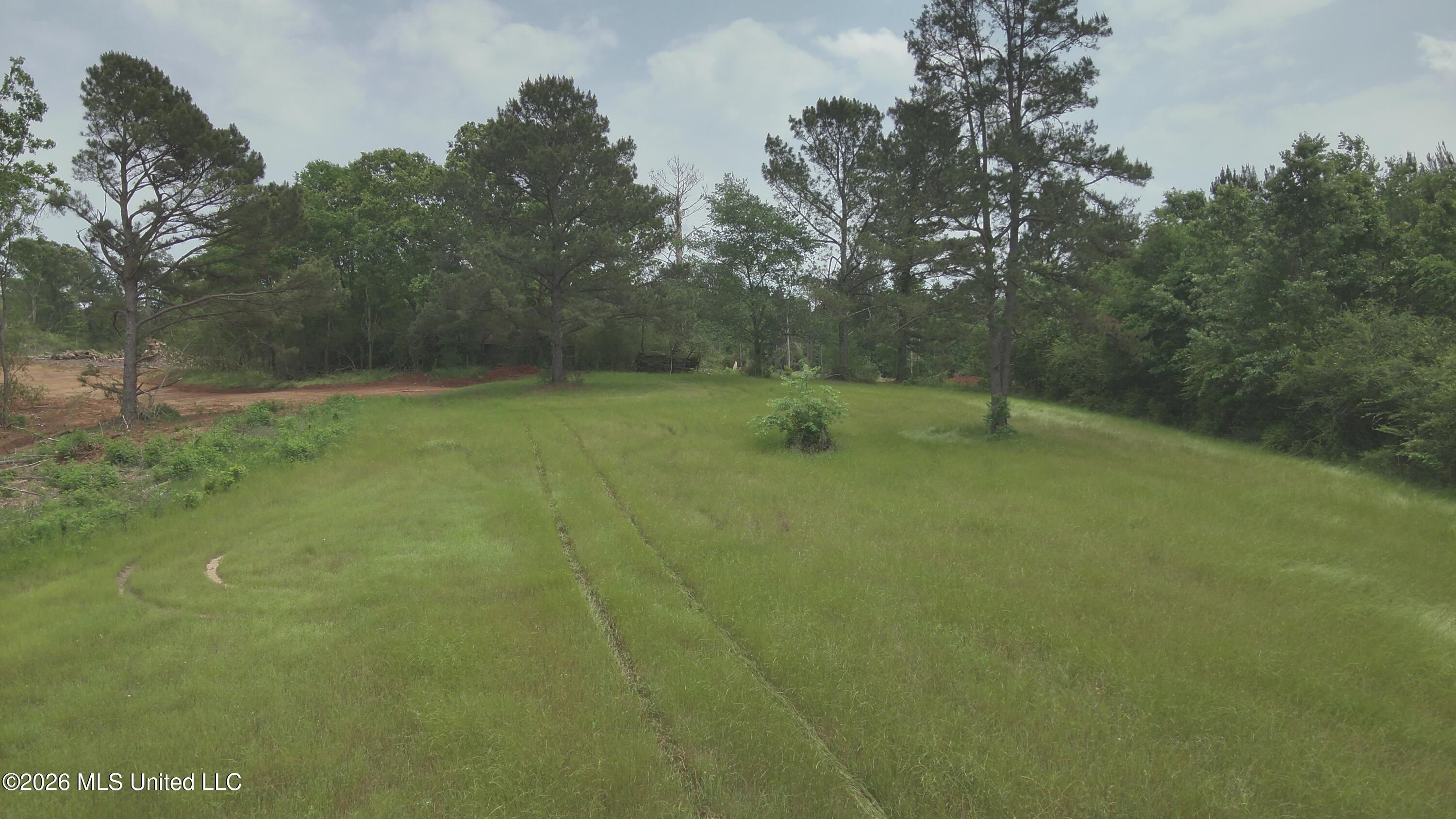 559 Smith County Road Pulaski, MS 39152 - Photo 23 of 35 DJI_20260427132540_0053_V