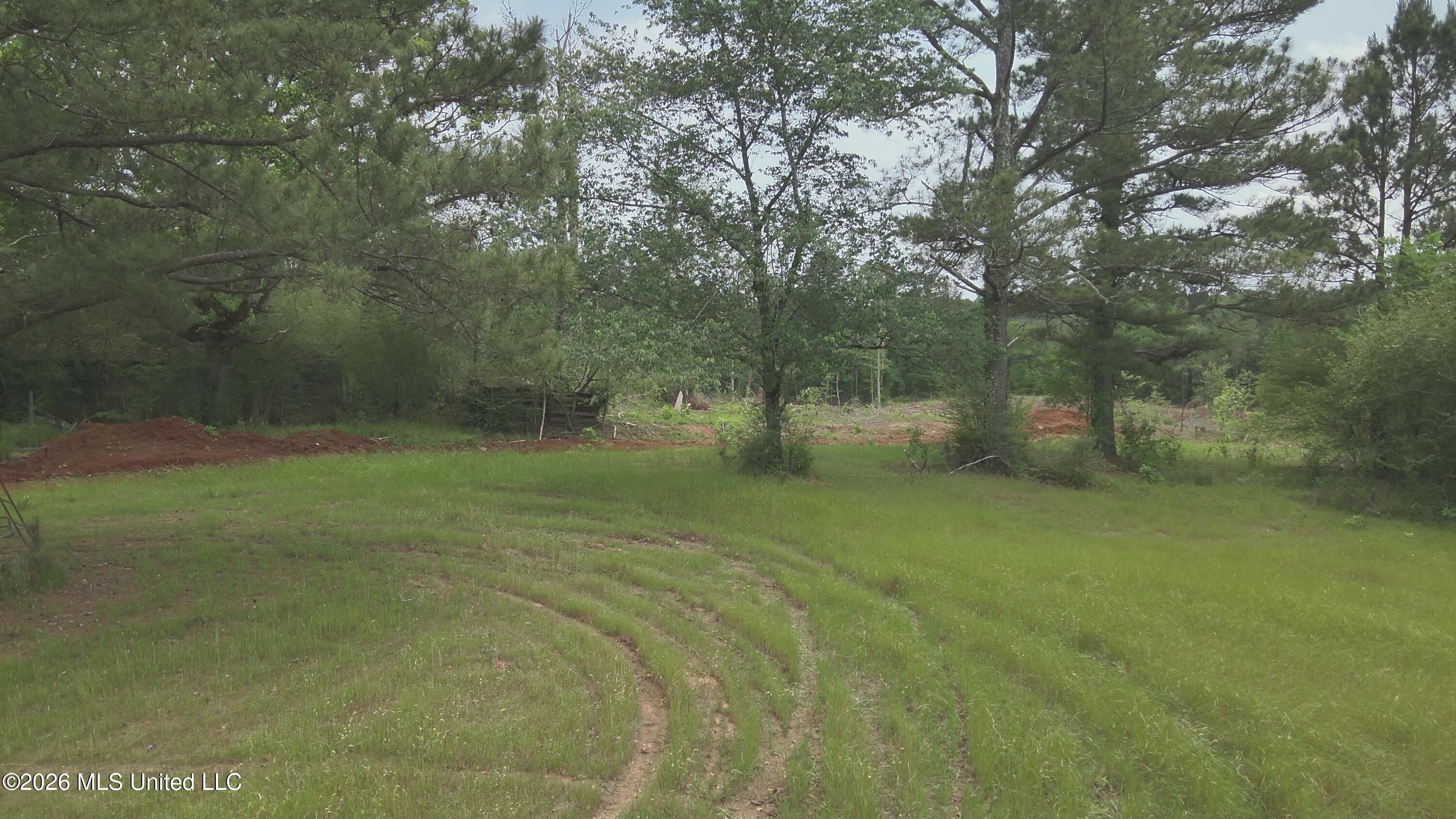 559 Smith County Road Pulaski, MS 39152 - Photo 24 of 35 DJI_20260427132546_0054_V