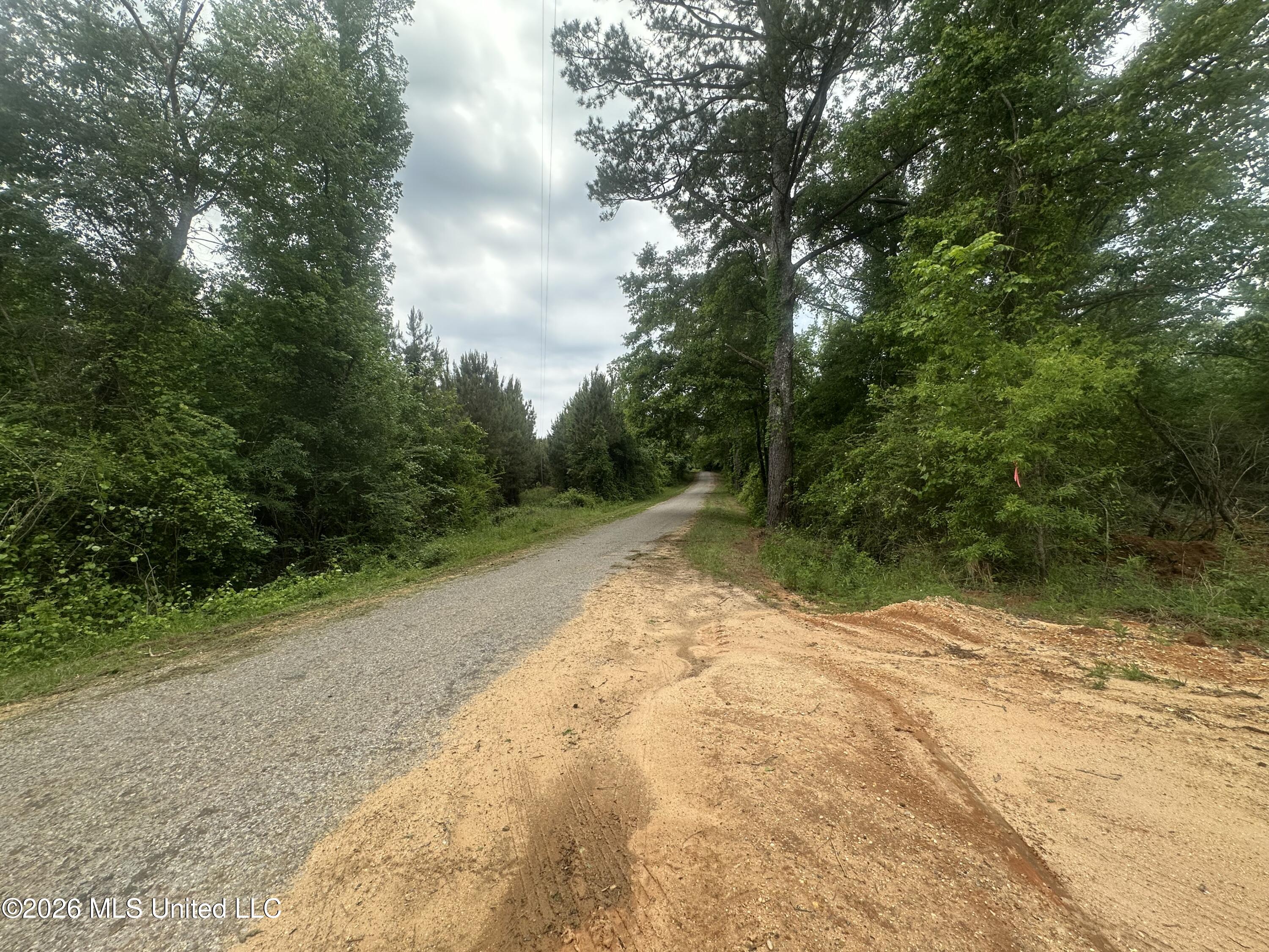 559 Smith County Road Pulaski, MS 39152 - Photo 26 of 35 IMG_6114