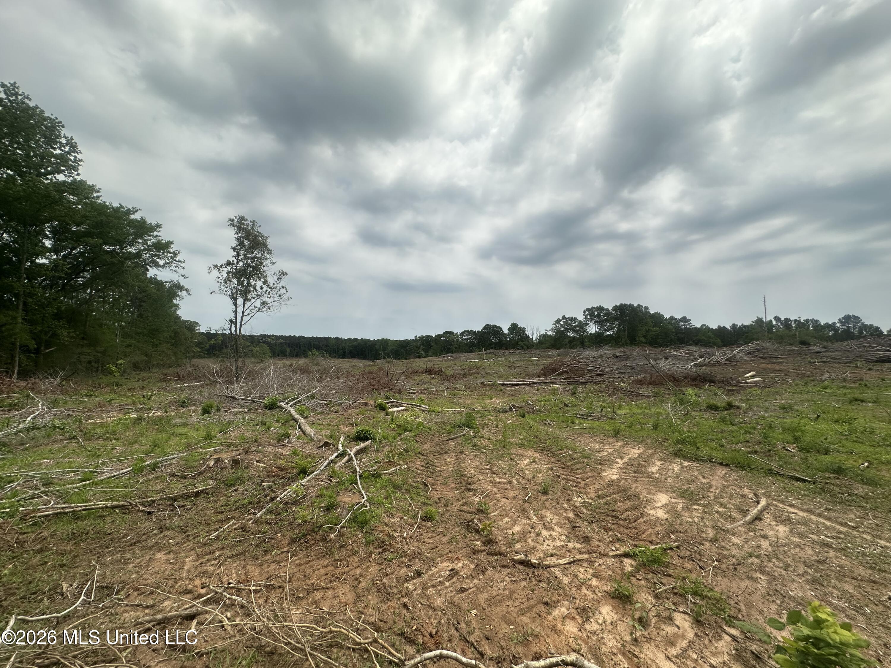 559 Smith County Road Pulaski, MS 39152 - Photo 27 of 35 IMG_6120