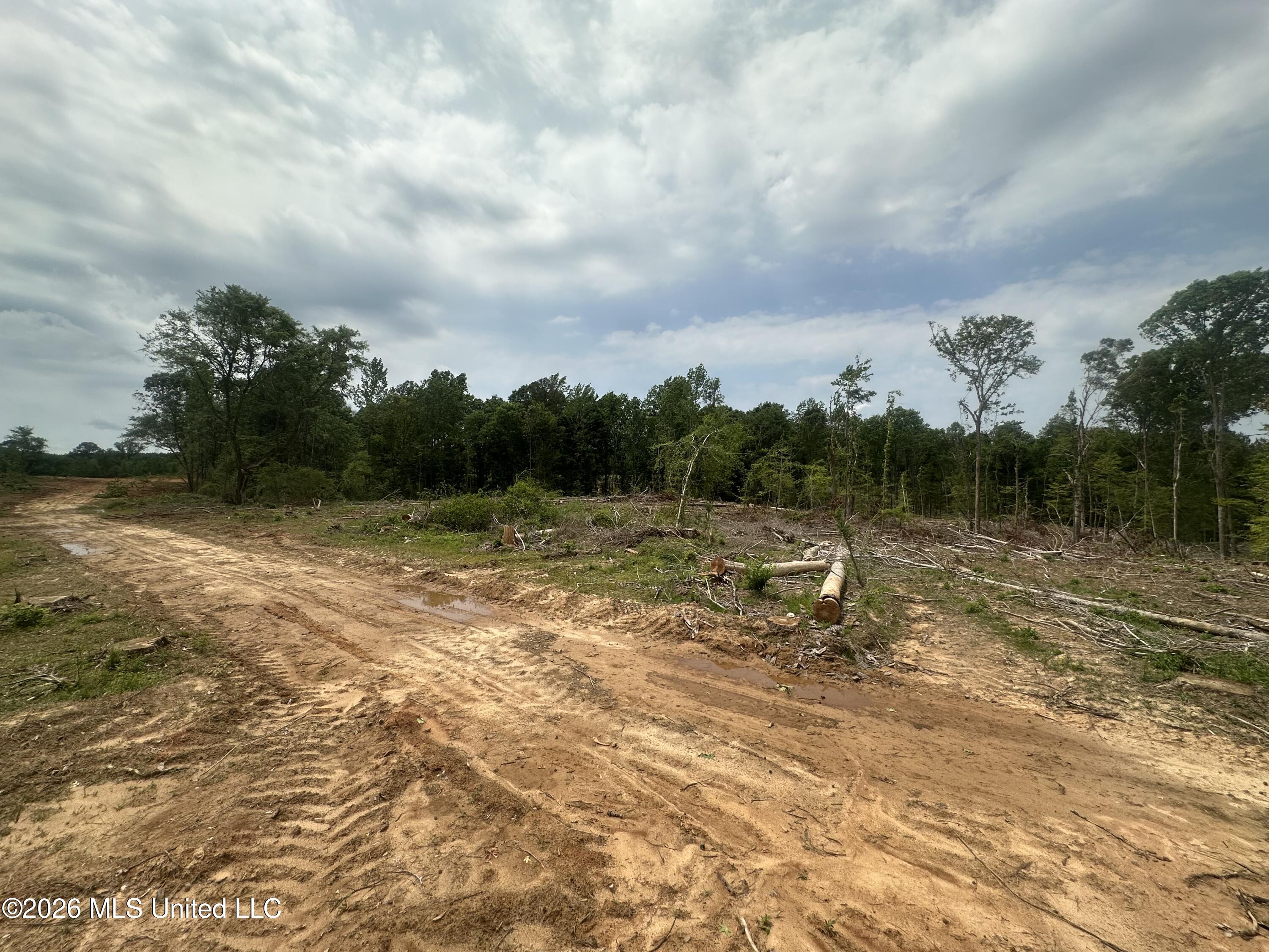 559 Smith County Road Pulaski, MS 39152 - Photo 28 of 35 IMG_6121