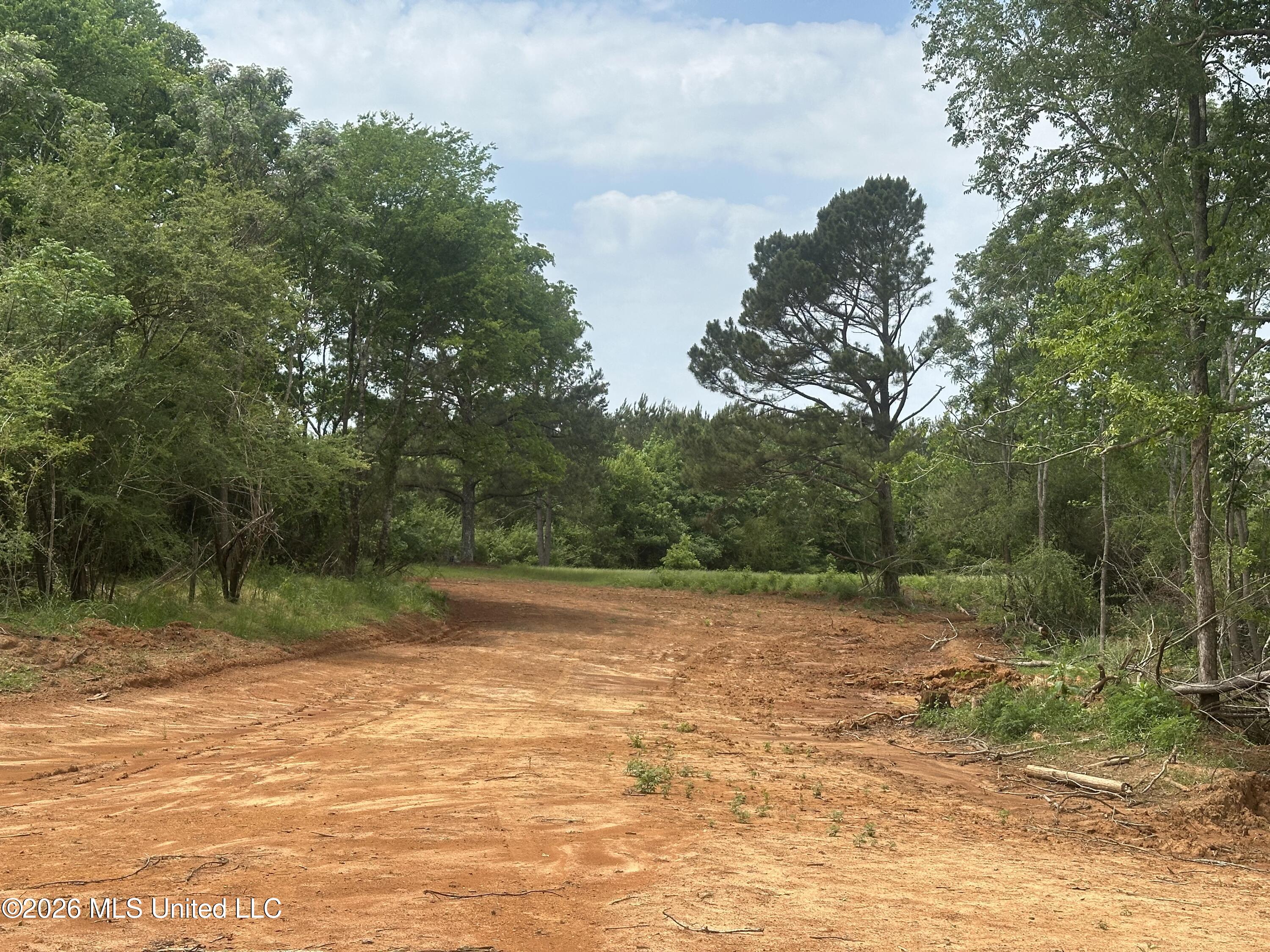 559 Smith County Road Pulaski, MS 39152 - Photo 29 of 35 IMG_6127