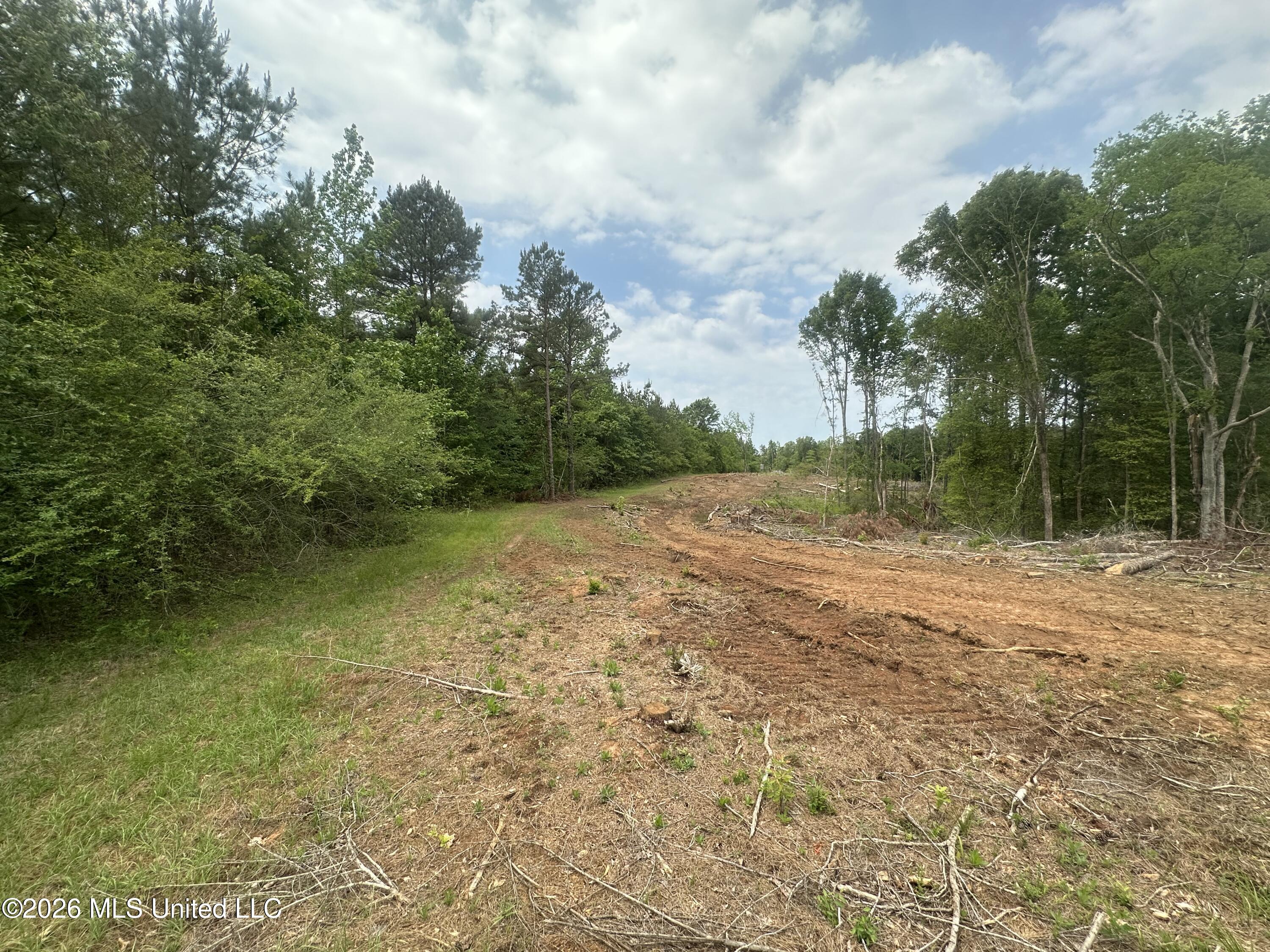 559 Smith County Road Pulaski, MS 39152 - Photo 30 of 35 IMG_6130