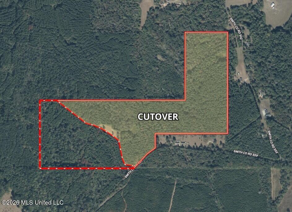 559 Smith County Road Pulaski, MS 39152 - Photo 3 of 35 Cutover