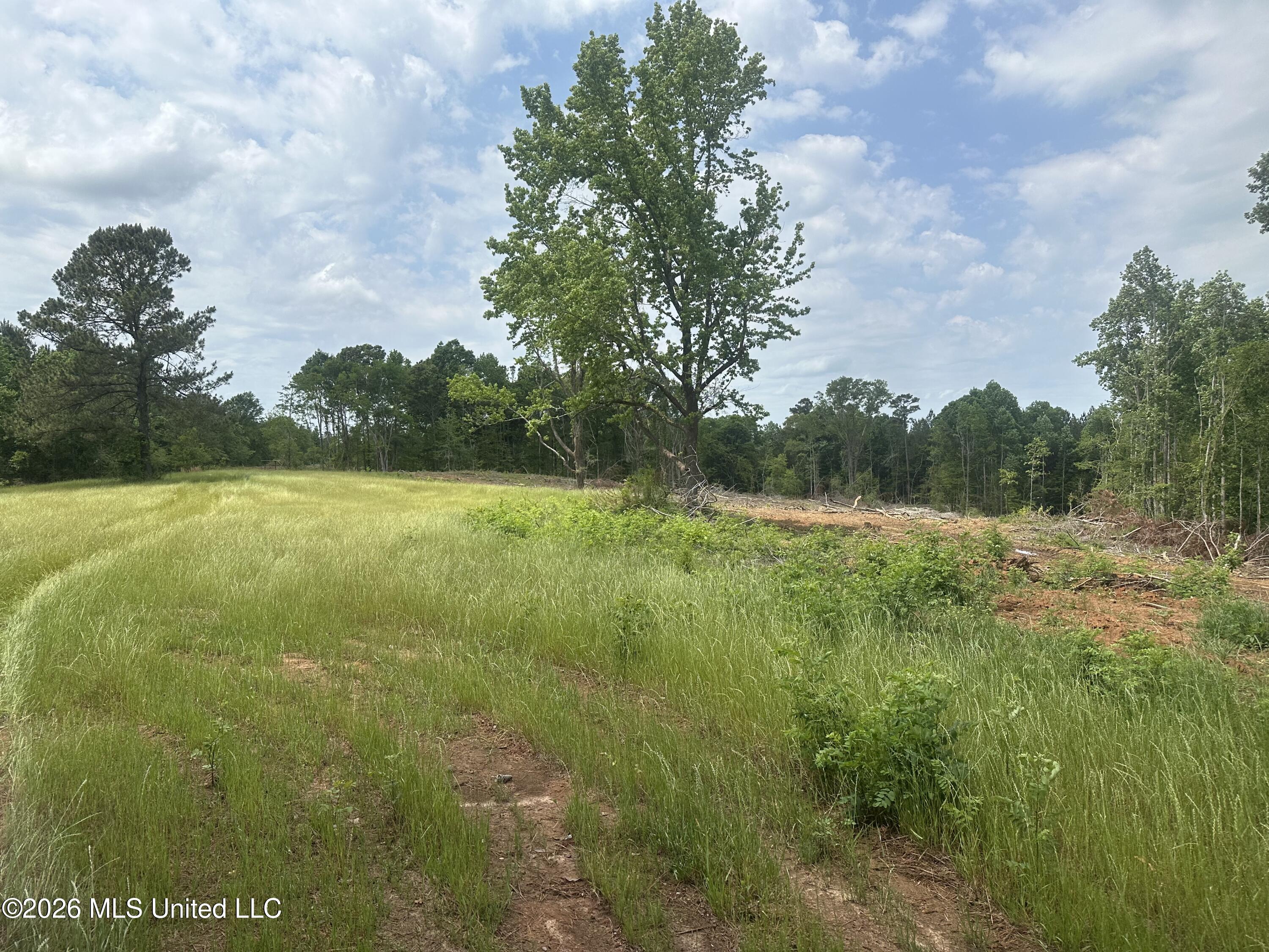 559 Smith County Road Pulaski, MS 39152 - Photo 31 of 35 IMG_6135
