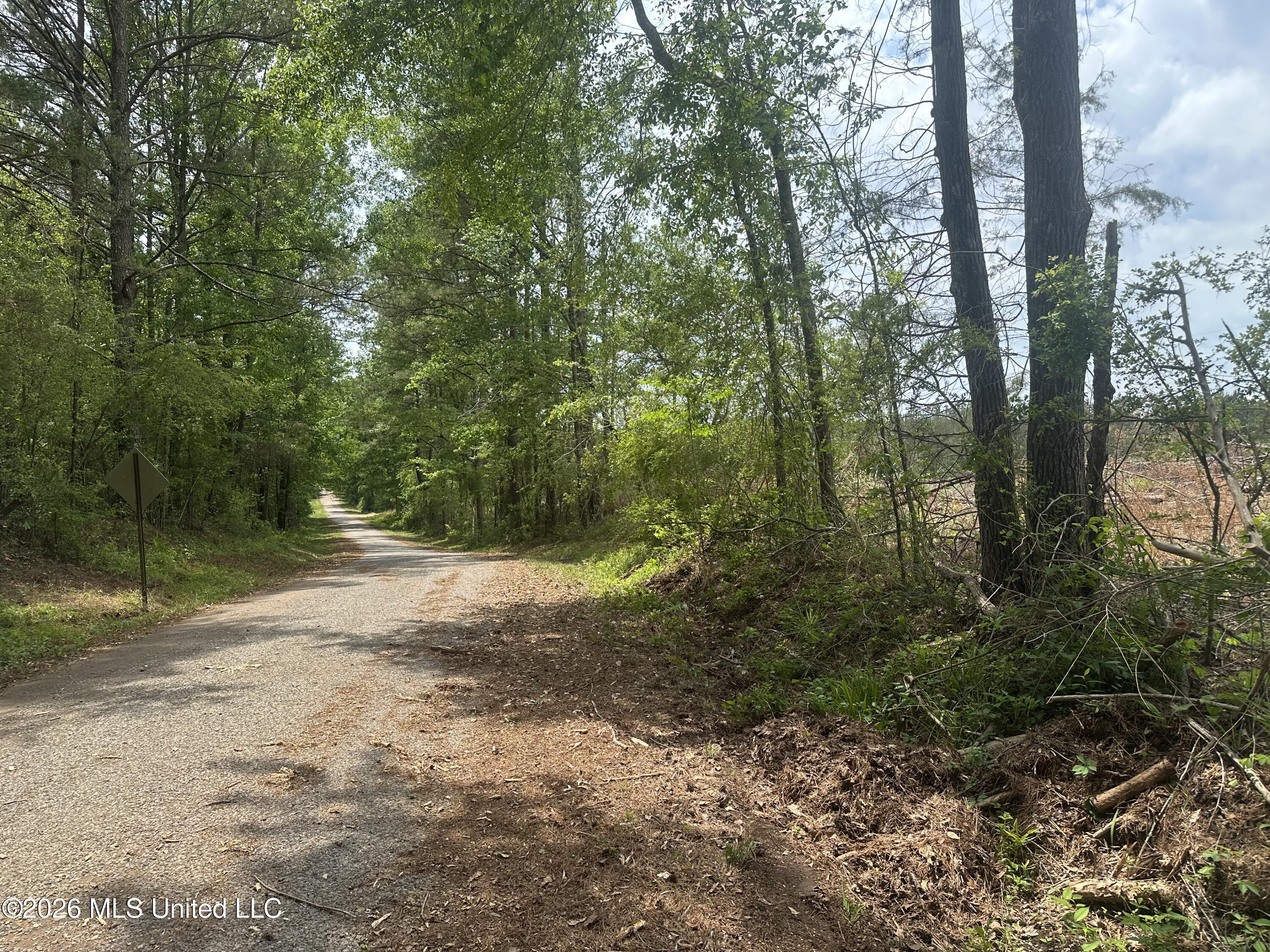 559 Smith County Road Pulaski, MS 39152 - Photo 32 of 35 IMG_6137