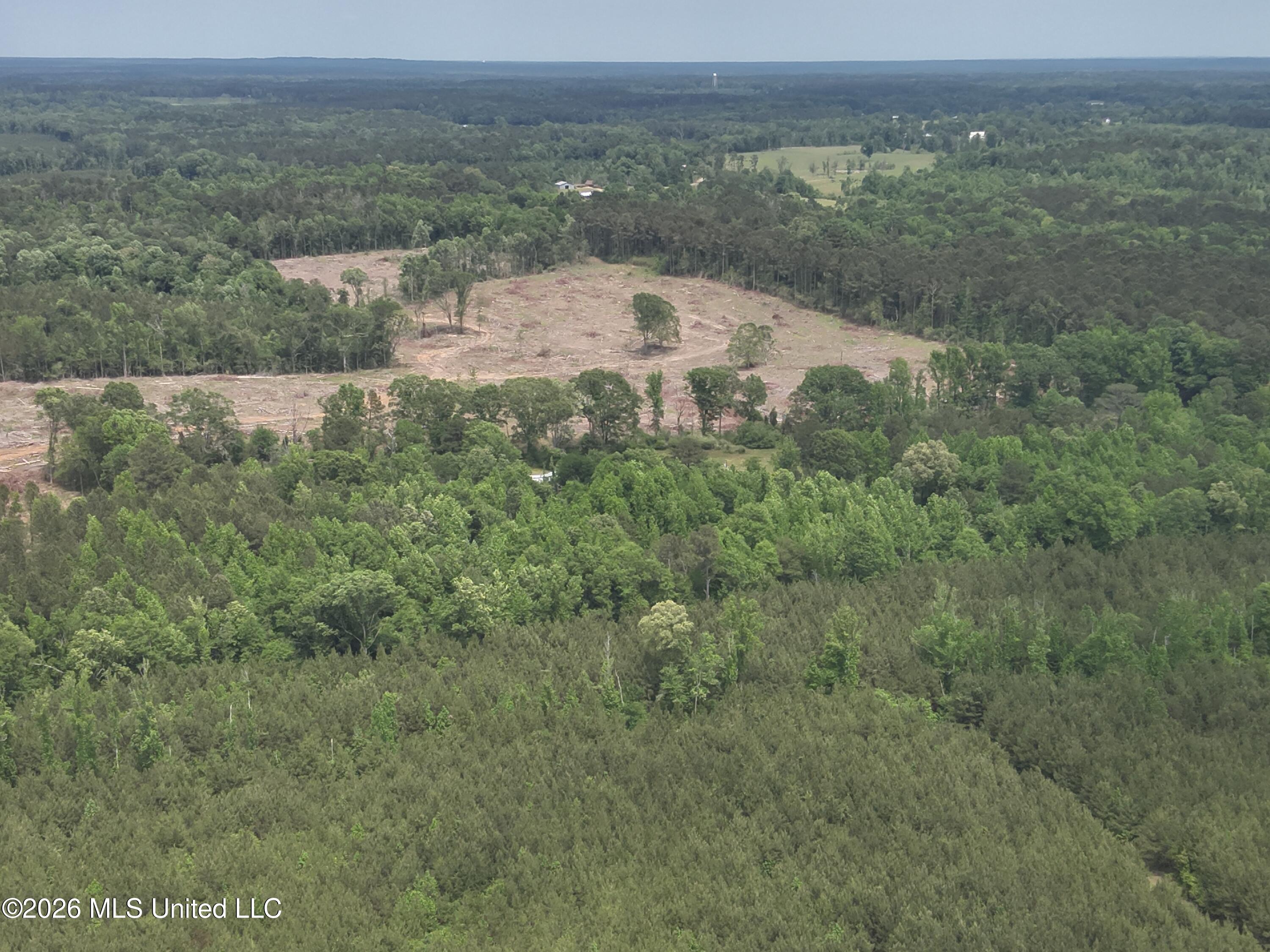 559 Smith County Road Pulaski, MS 39152 - Photo 5 of 35 DJI_20260427130502_0004_V