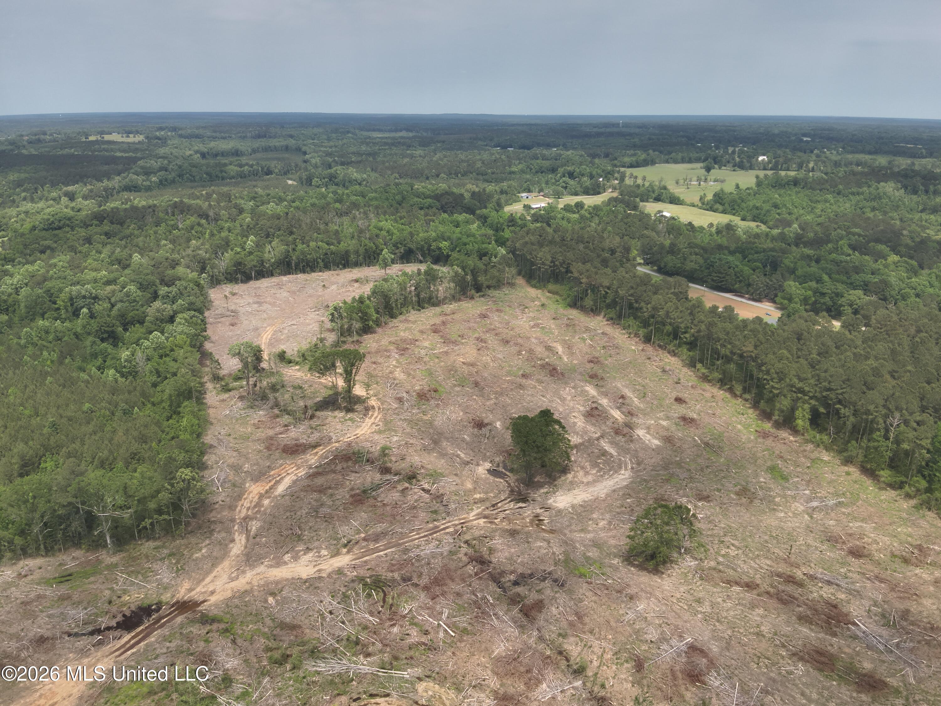 559 Smith County Road Pulaski, MS 39152 - Photo 6 of 35 DJI_20260427131041_0018_V