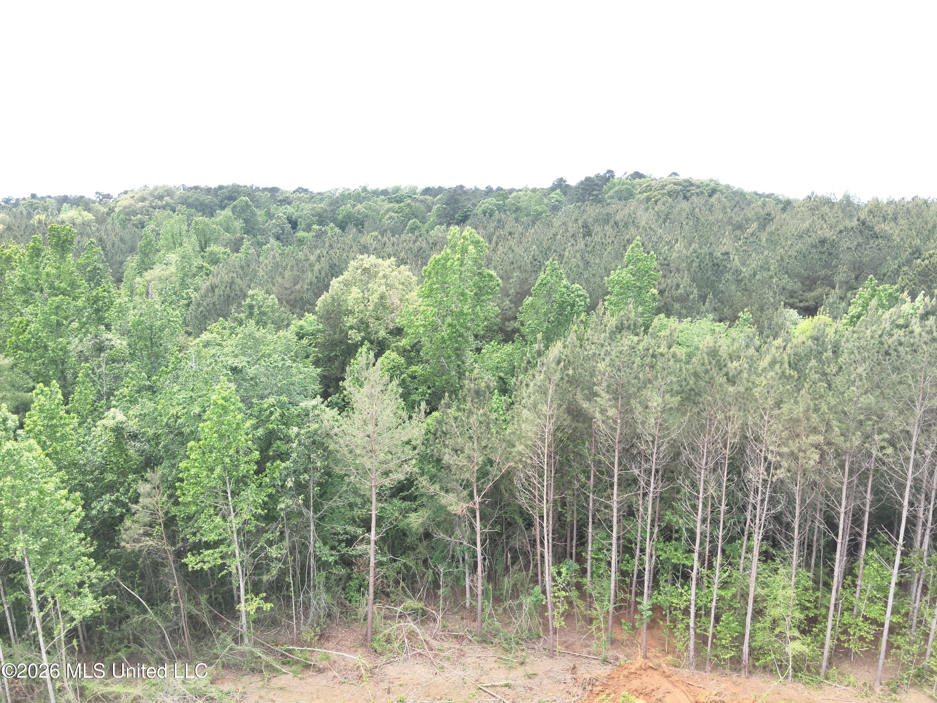 559 Smith County Road Pulaski, MS 39152 - Photo 9 of 35 DJI_20260427132044_0023_V