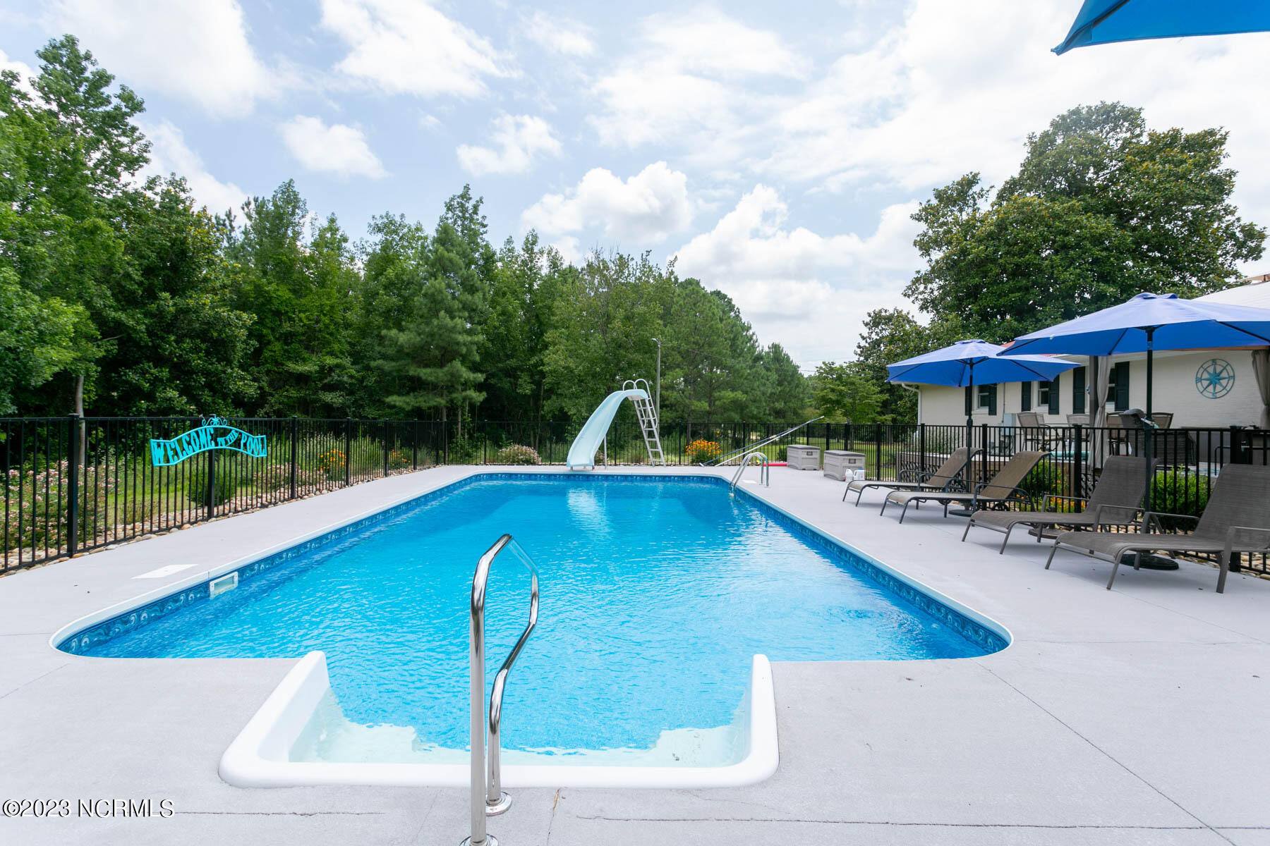 1259 Peace Road Carthage, NC 28327 - Photo 25 of 50 pool1