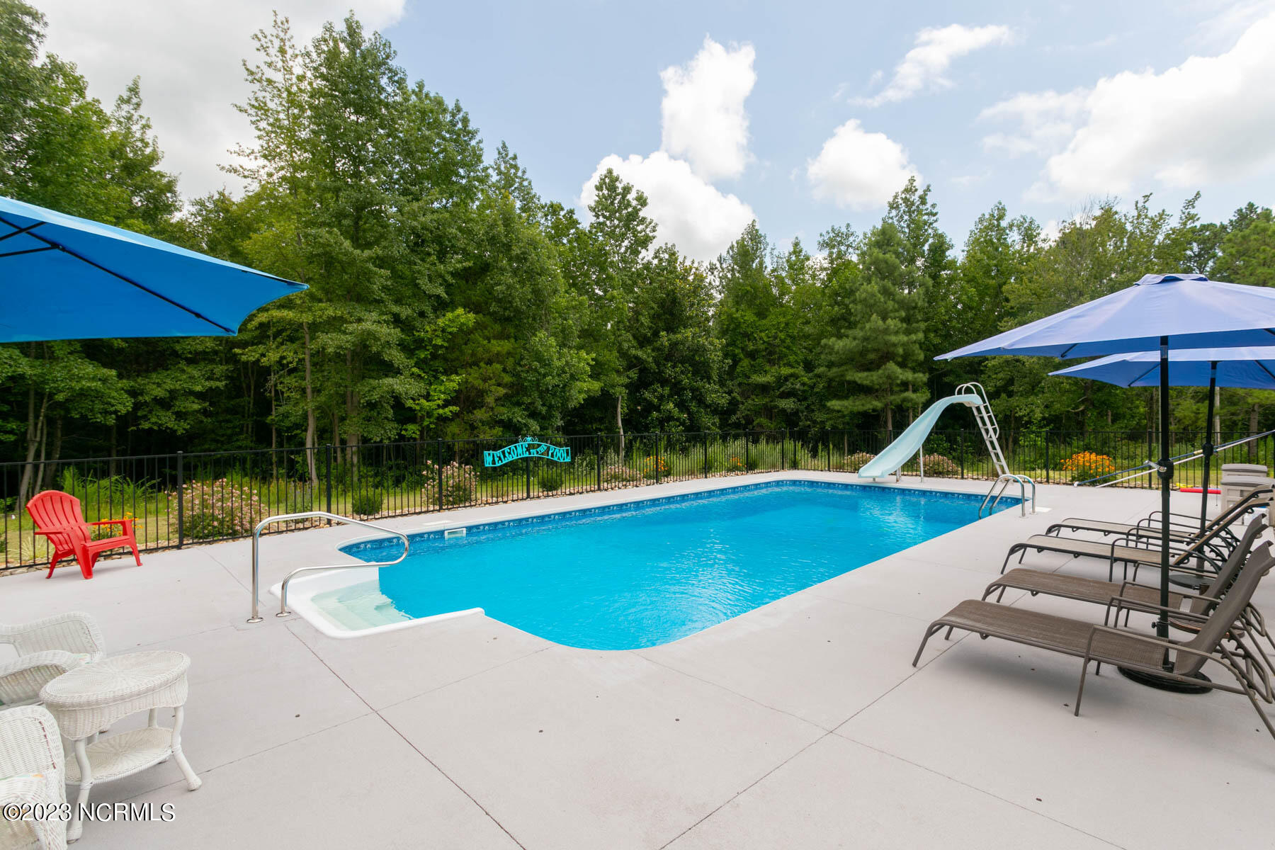 1259 Peace Road Carthage, NC 28327 - Photo 26 of 50 pool3