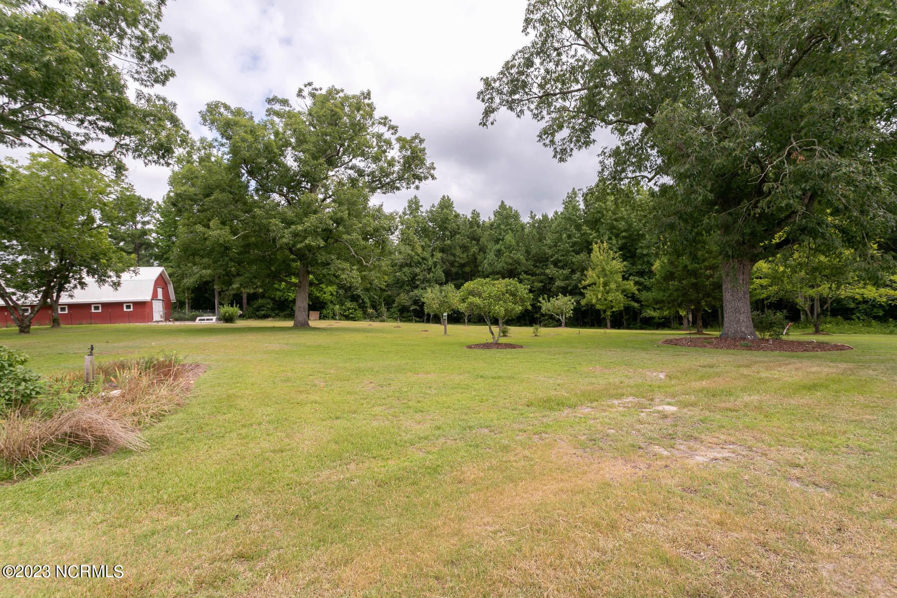 1259 Peace Road Carthage, NC 28327 - Photo 31 of 50 backyard