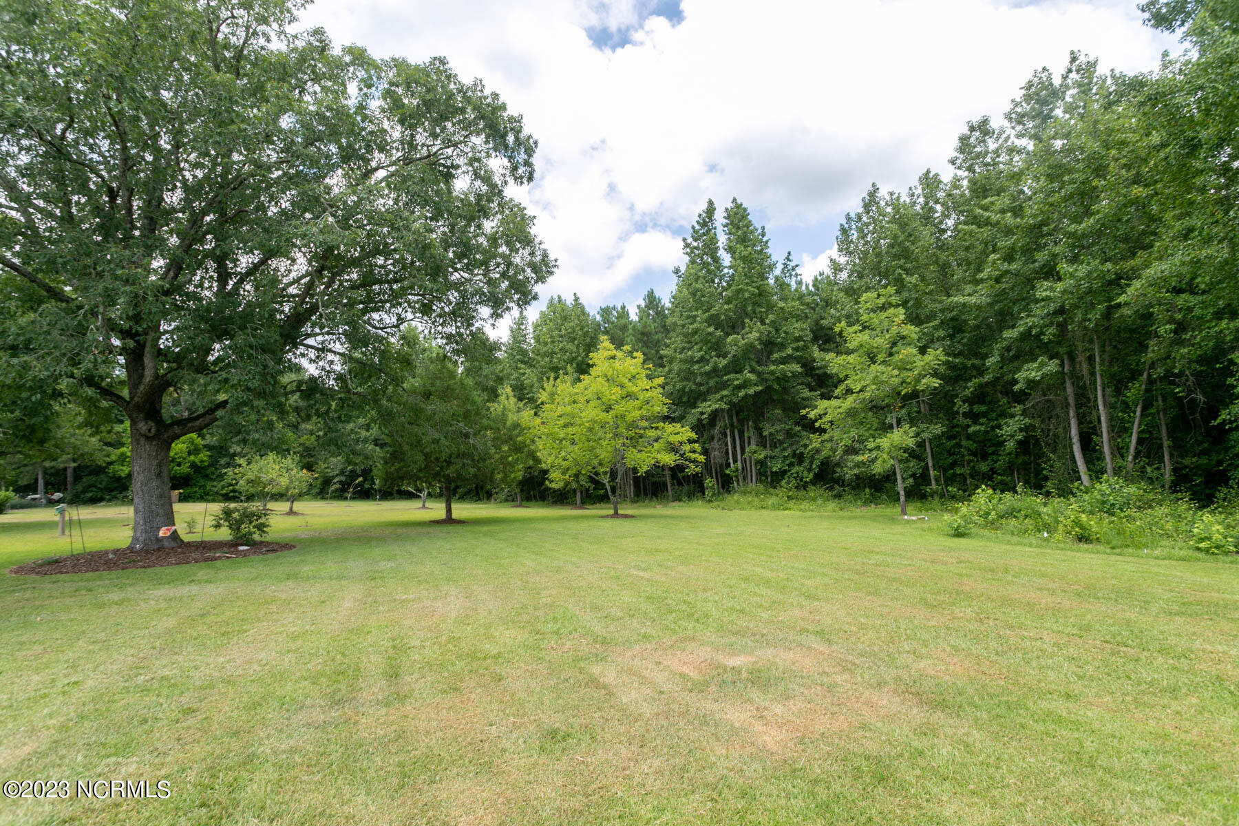 1259 Peace Road Carthage, NC 28327 - Photo 32 of 50 backyard1