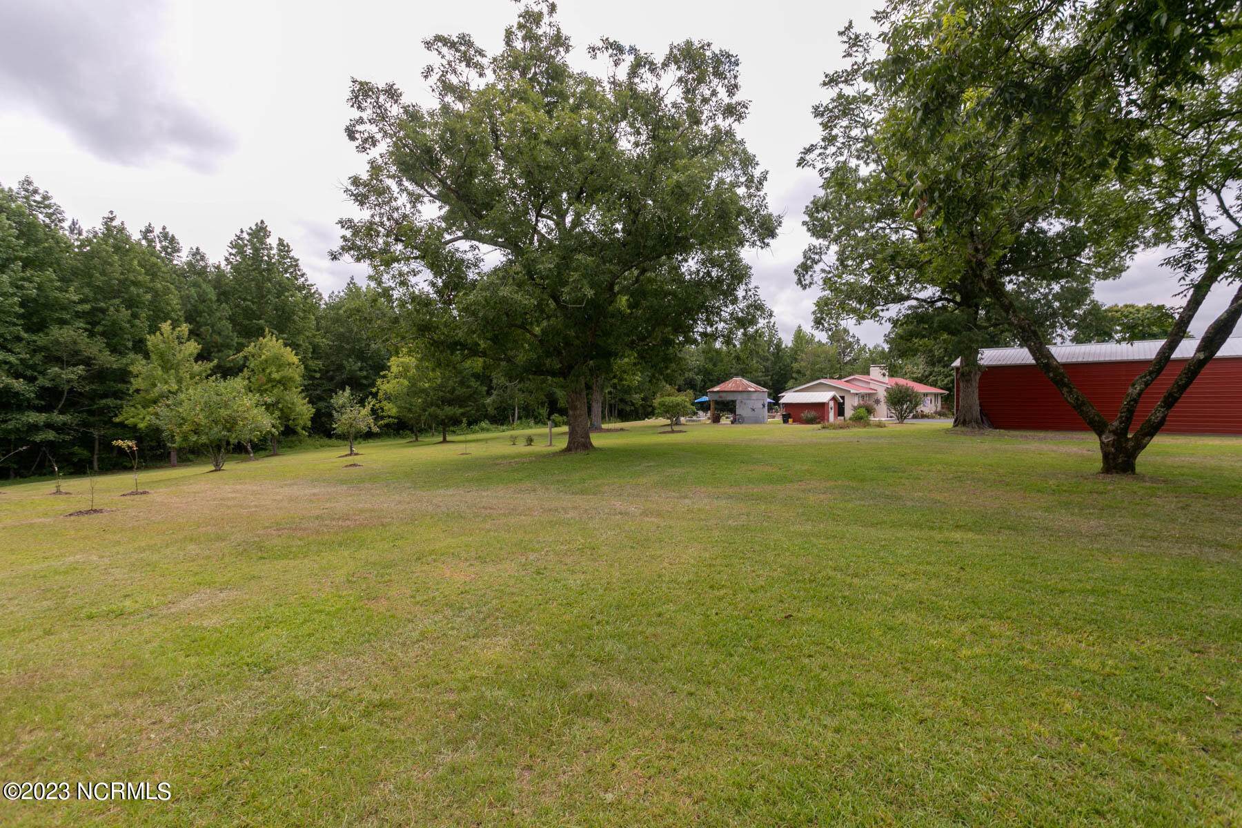 1259 Peace Road Carthage, NC 28327 - Photo 33 of 50 backyard4